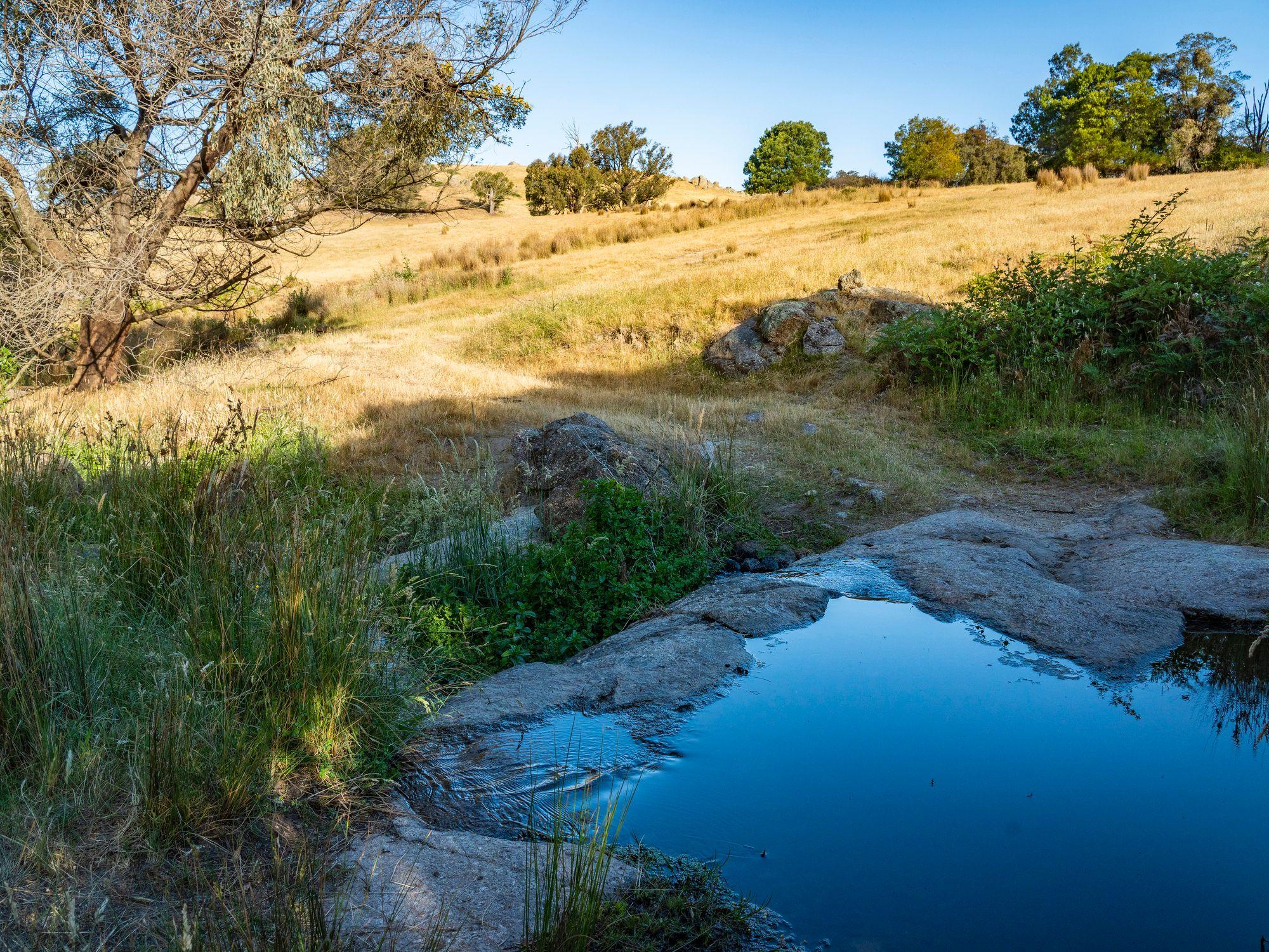 750 Acres of Nature, Production & Possibility