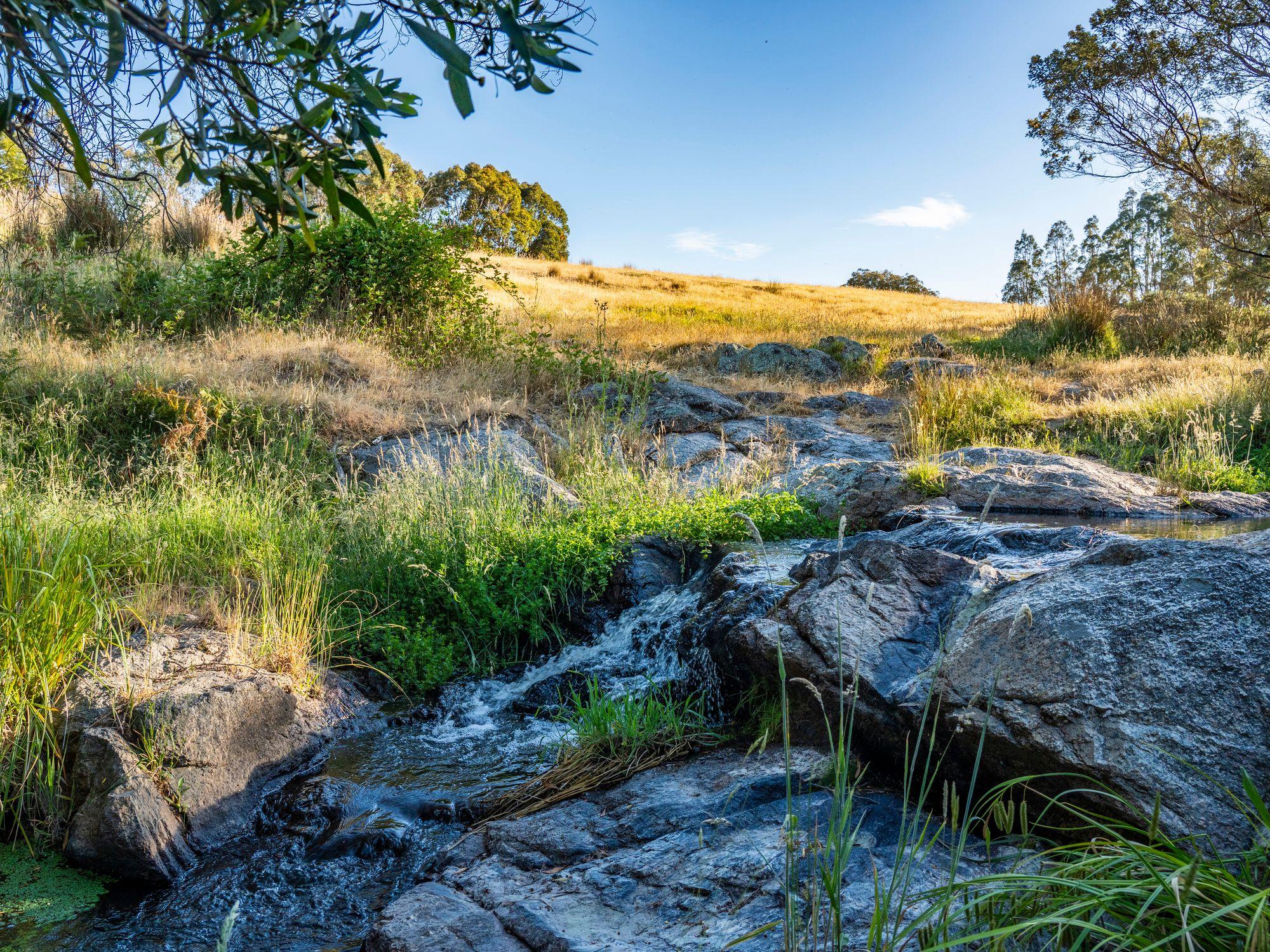 750 Acres of Nature, Production & Possibility