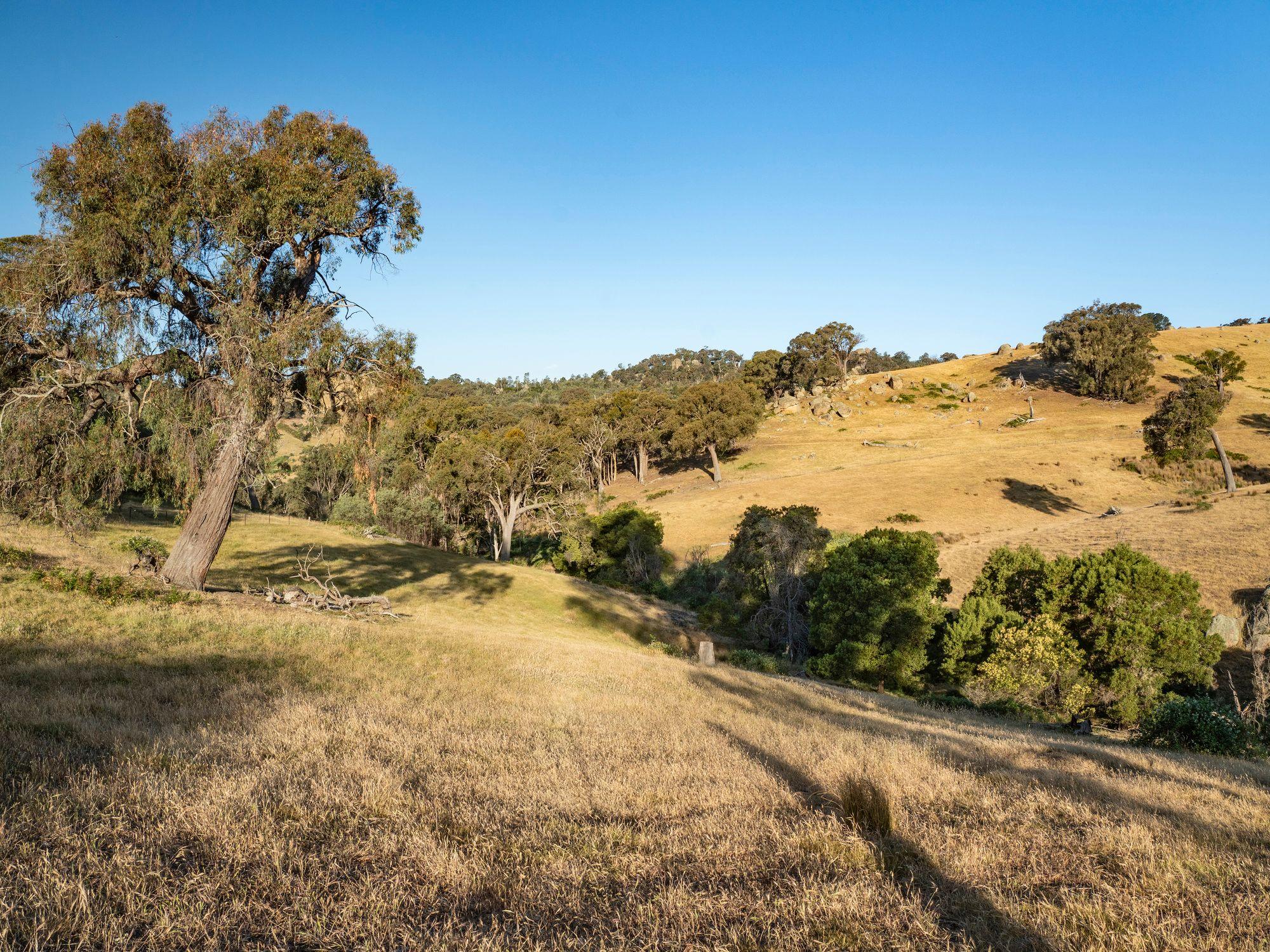 750 Acres of Nature, Production & Possibility