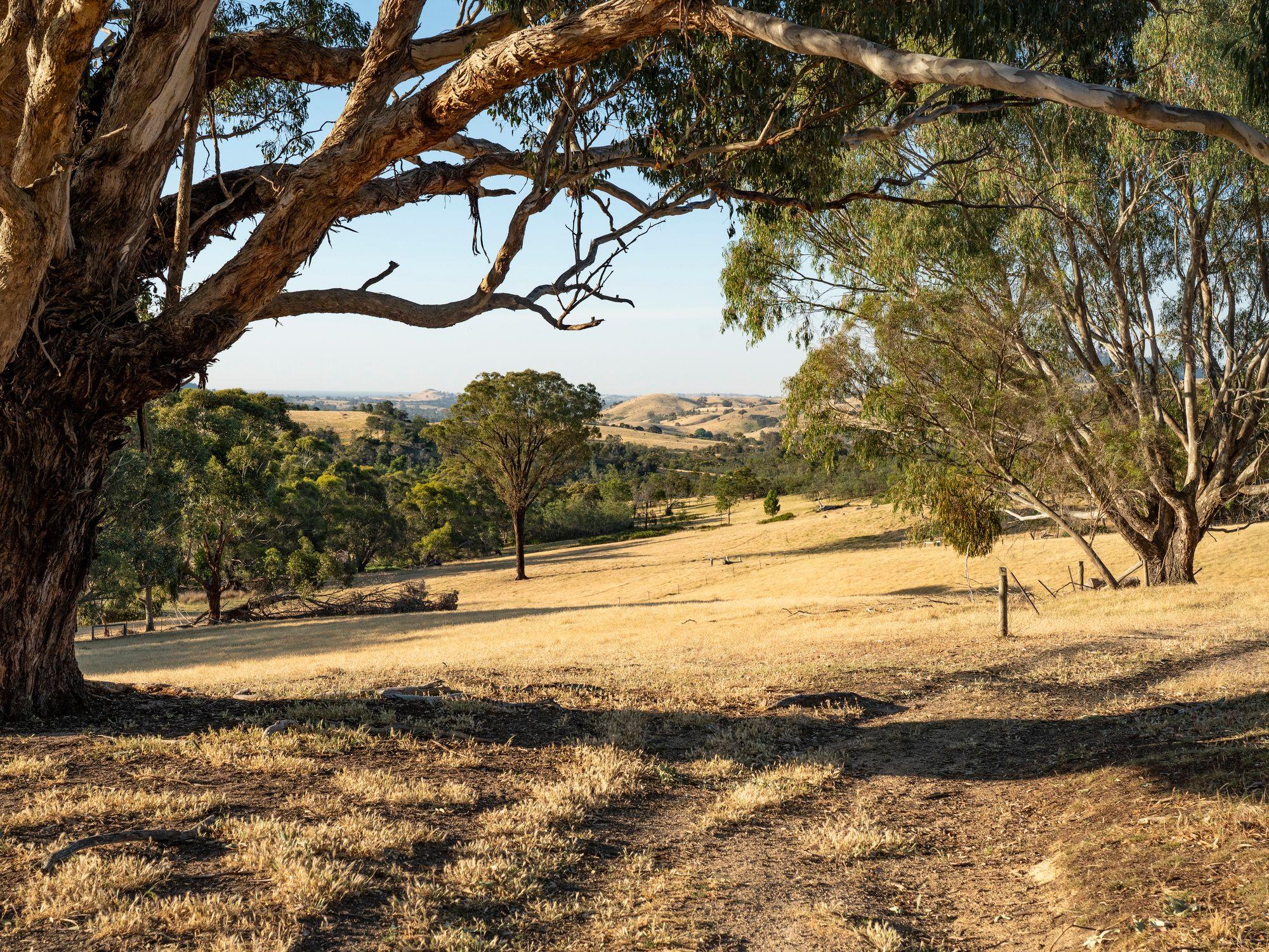 750 Acres of Nature, Production & Possibility