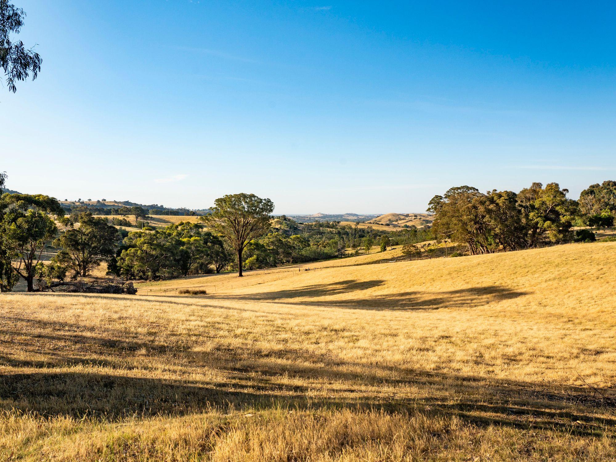 750 Acres of Nature, Production & Possibility