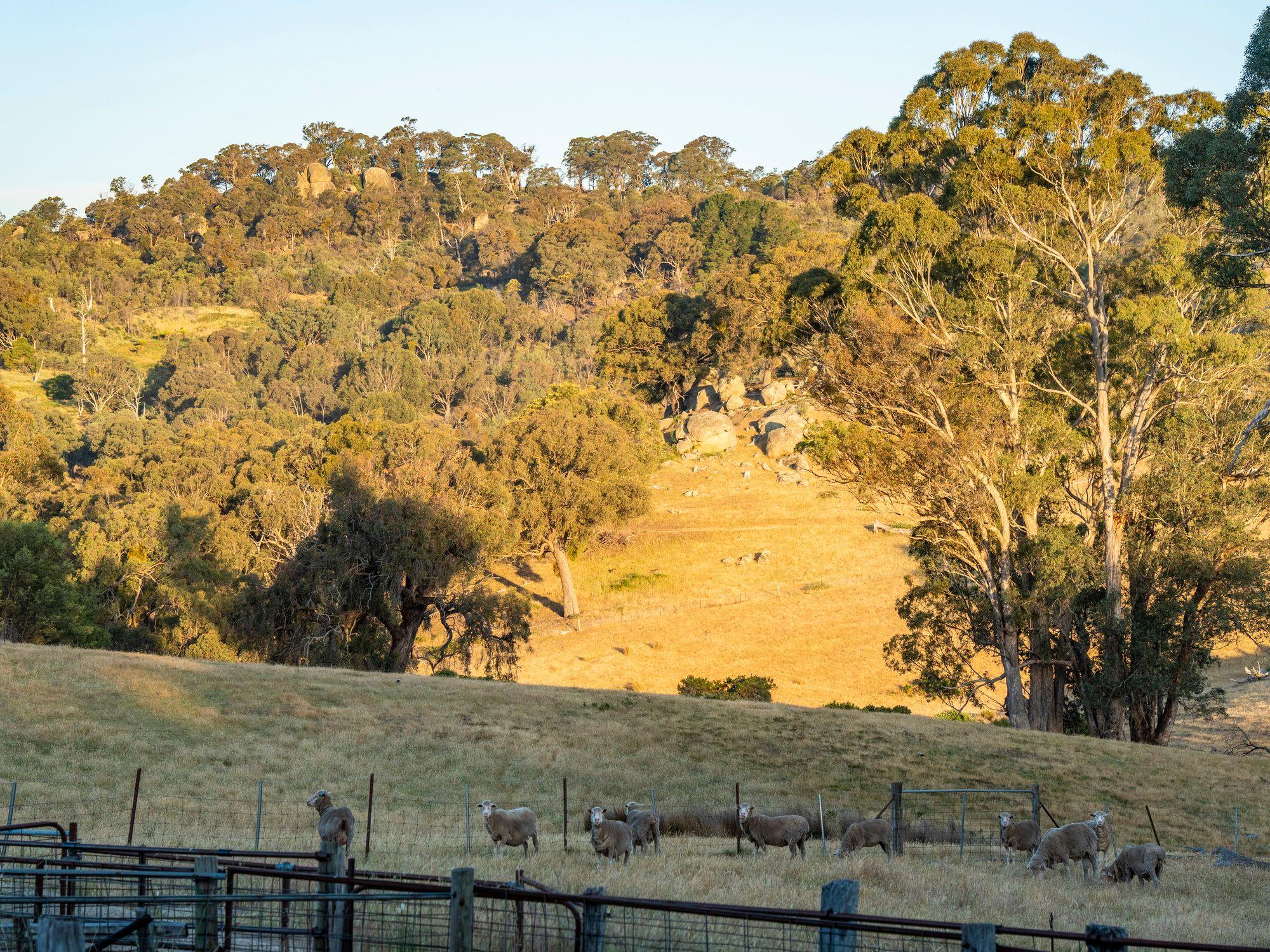 750 Acres of Nature, Production & Possibility