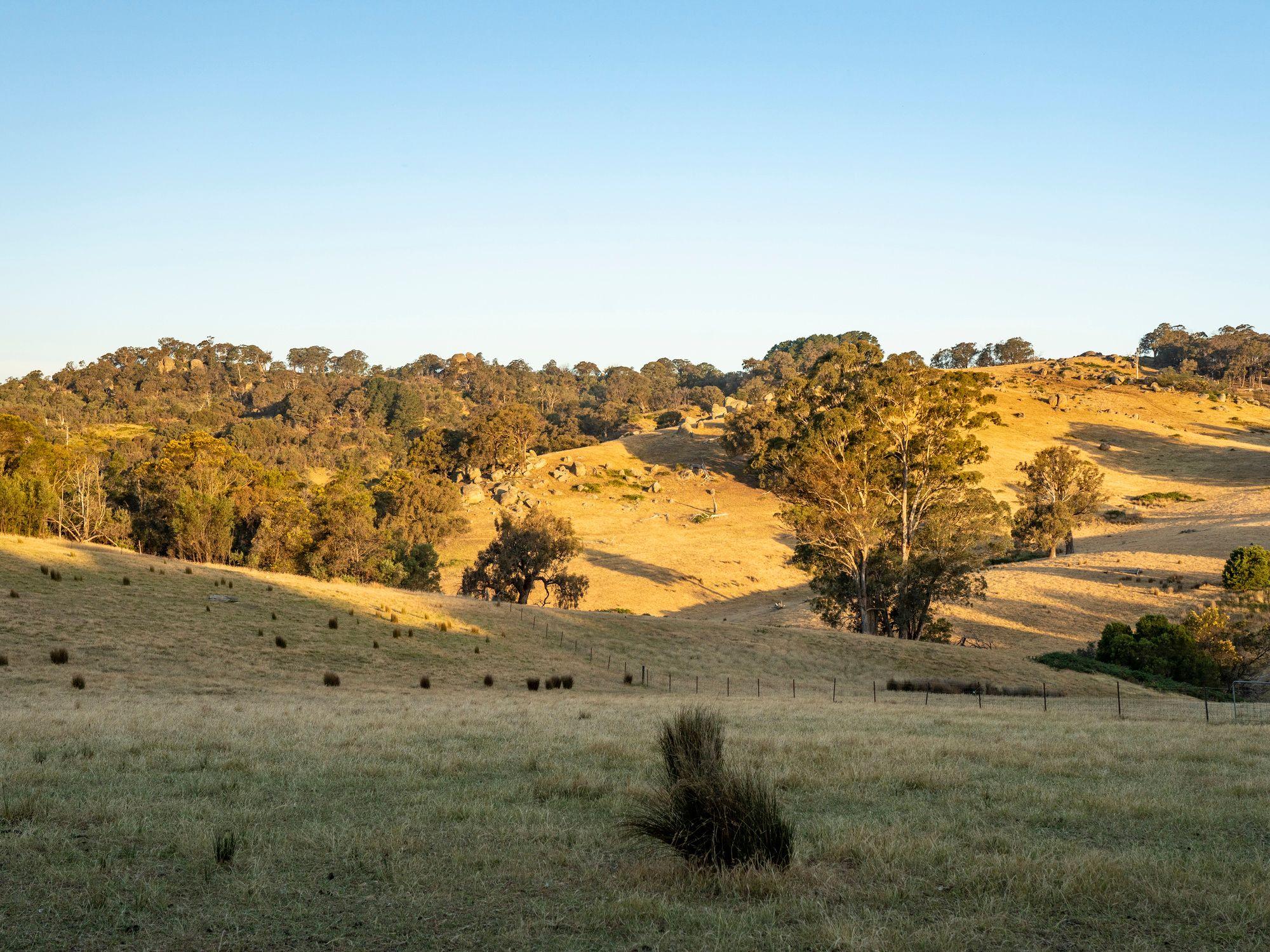 750 Acres of Nature, Production & Possibility