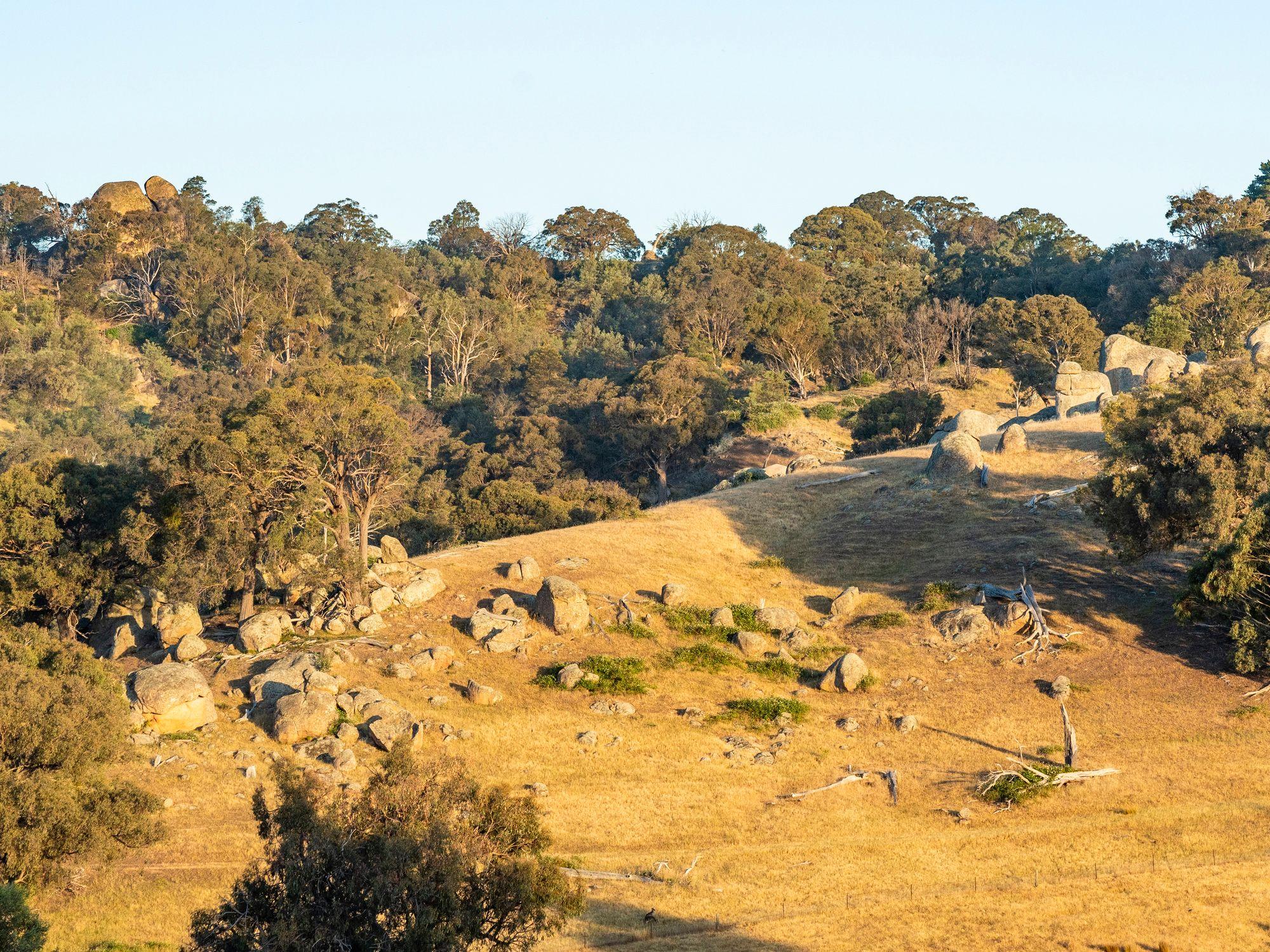 750 Acres of Nature, Production & Possibility