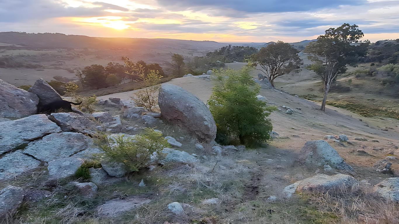 750 Acres of Nature, Production & Possibility