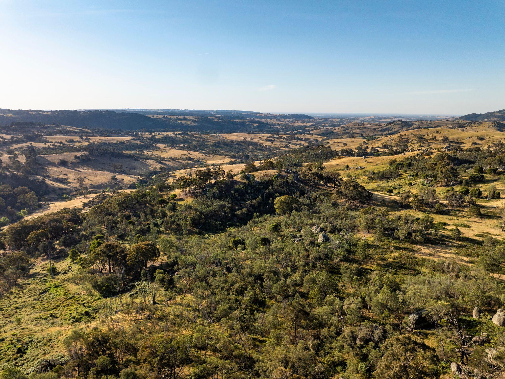 750 Acres of Nature, Production & Possibility