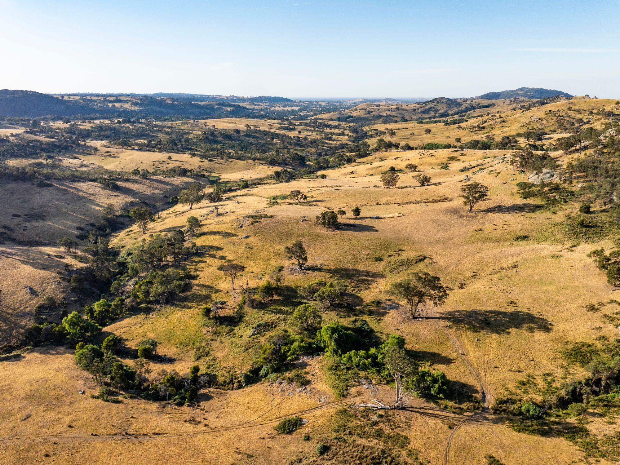 750 Acres of Nature, Production & Possibility