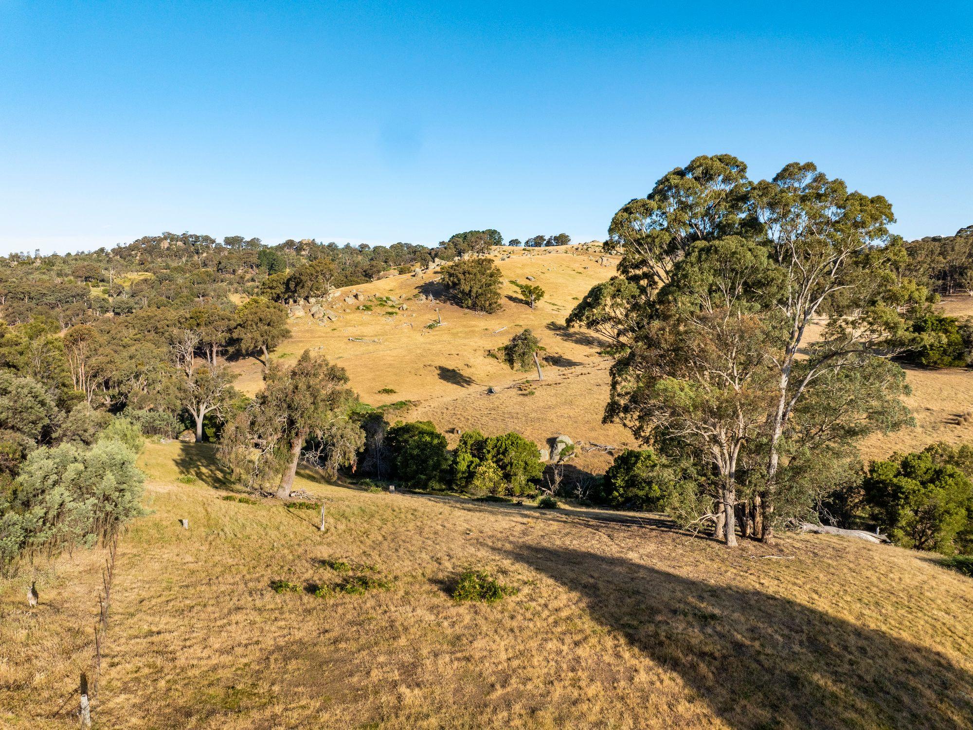 750 Acres of Nature, Production & Possibility