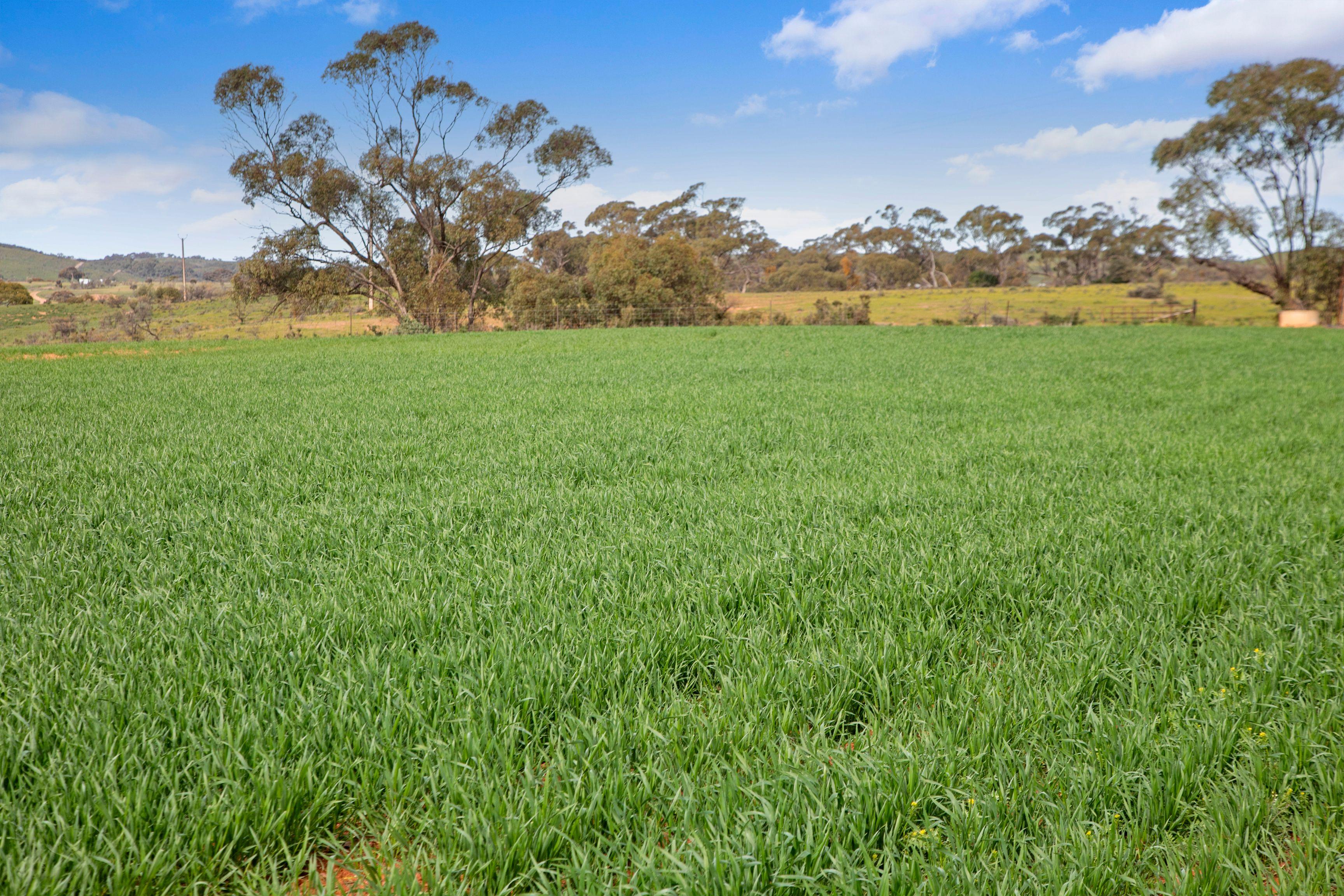 Grazing, Cropping and Country Living with Outlooks to Match