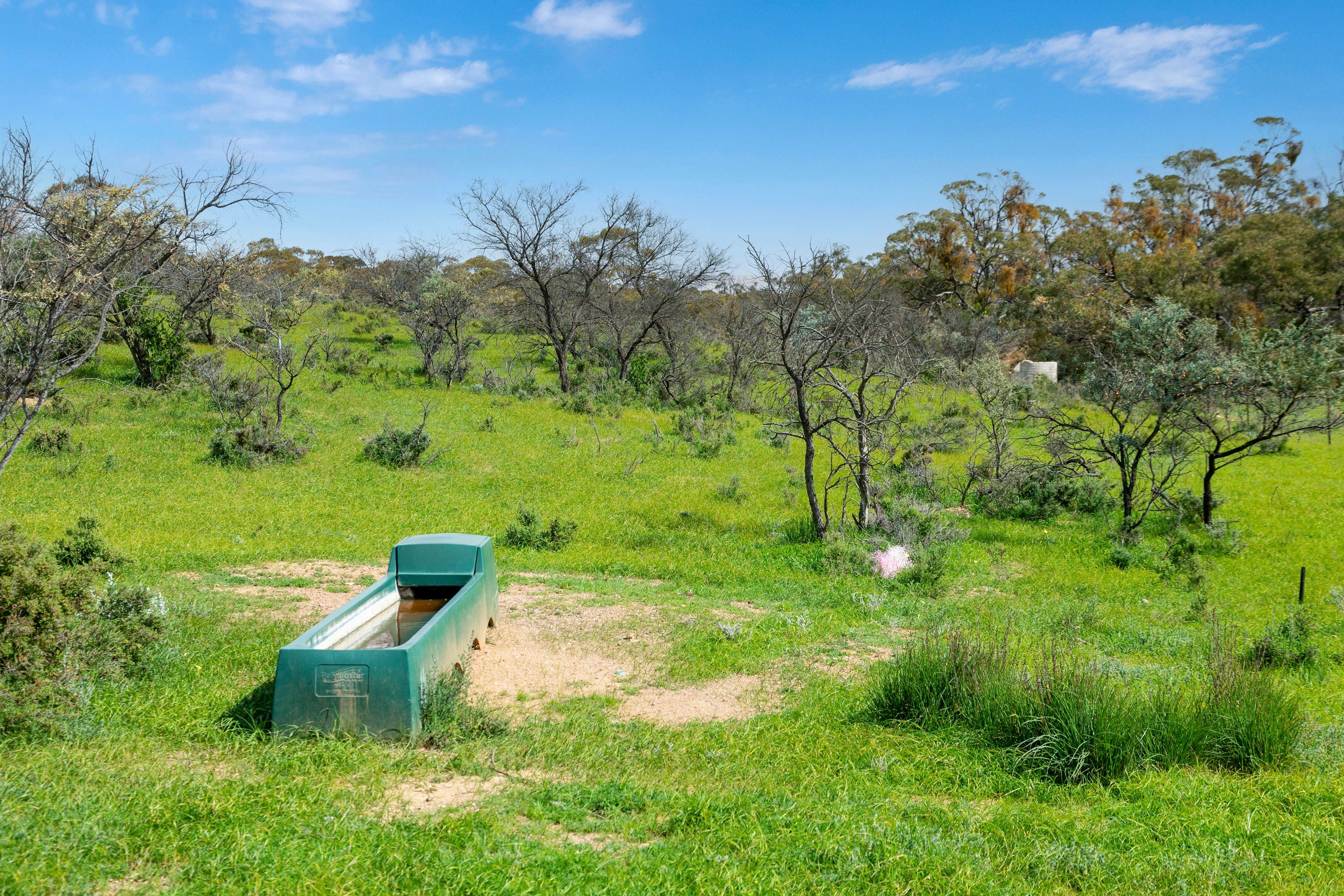Grazing, Cropping and Country Living with Outlooks to Match