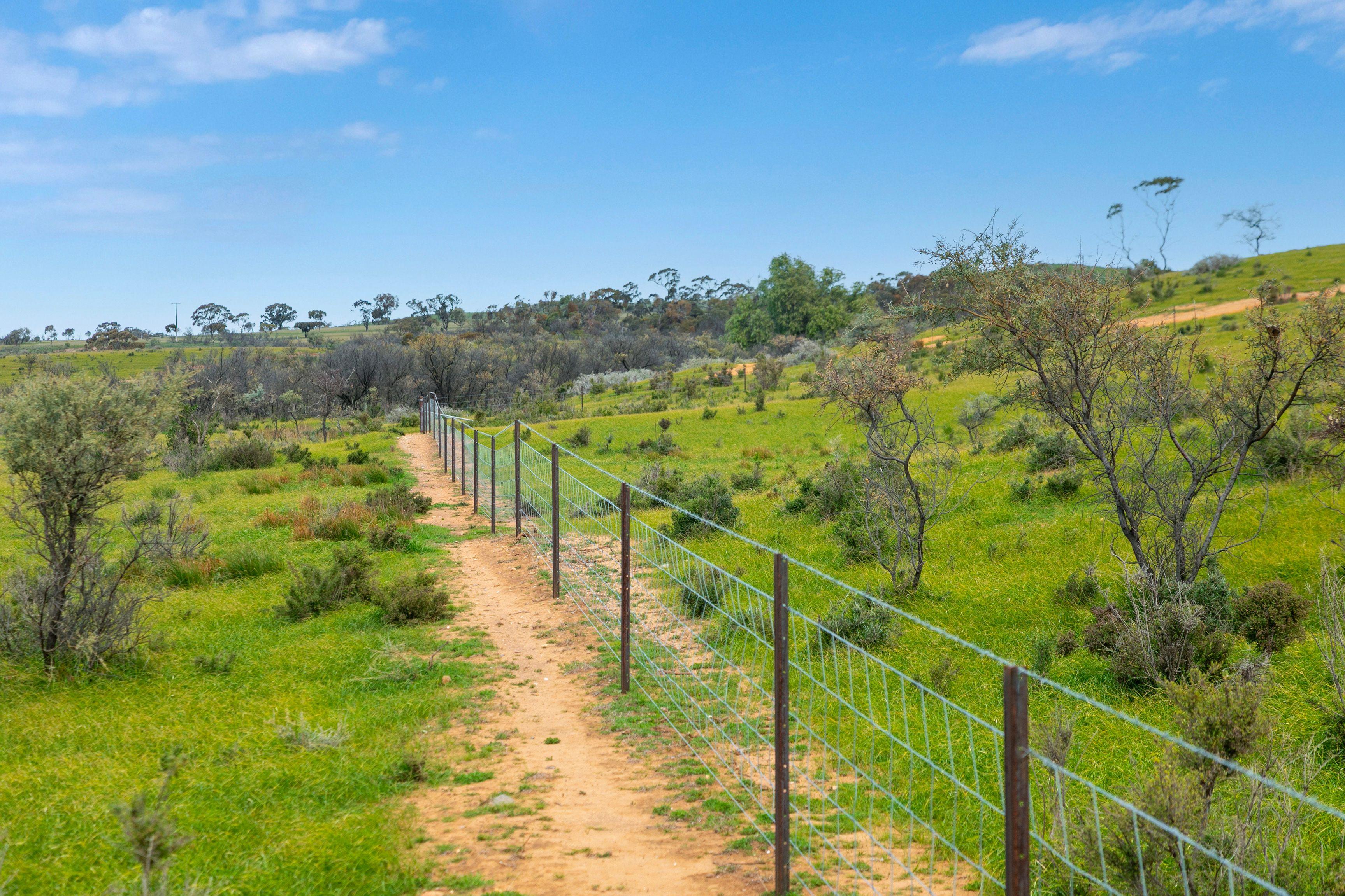 Grazing, Cropping and Country Living with Outlooks to Match
