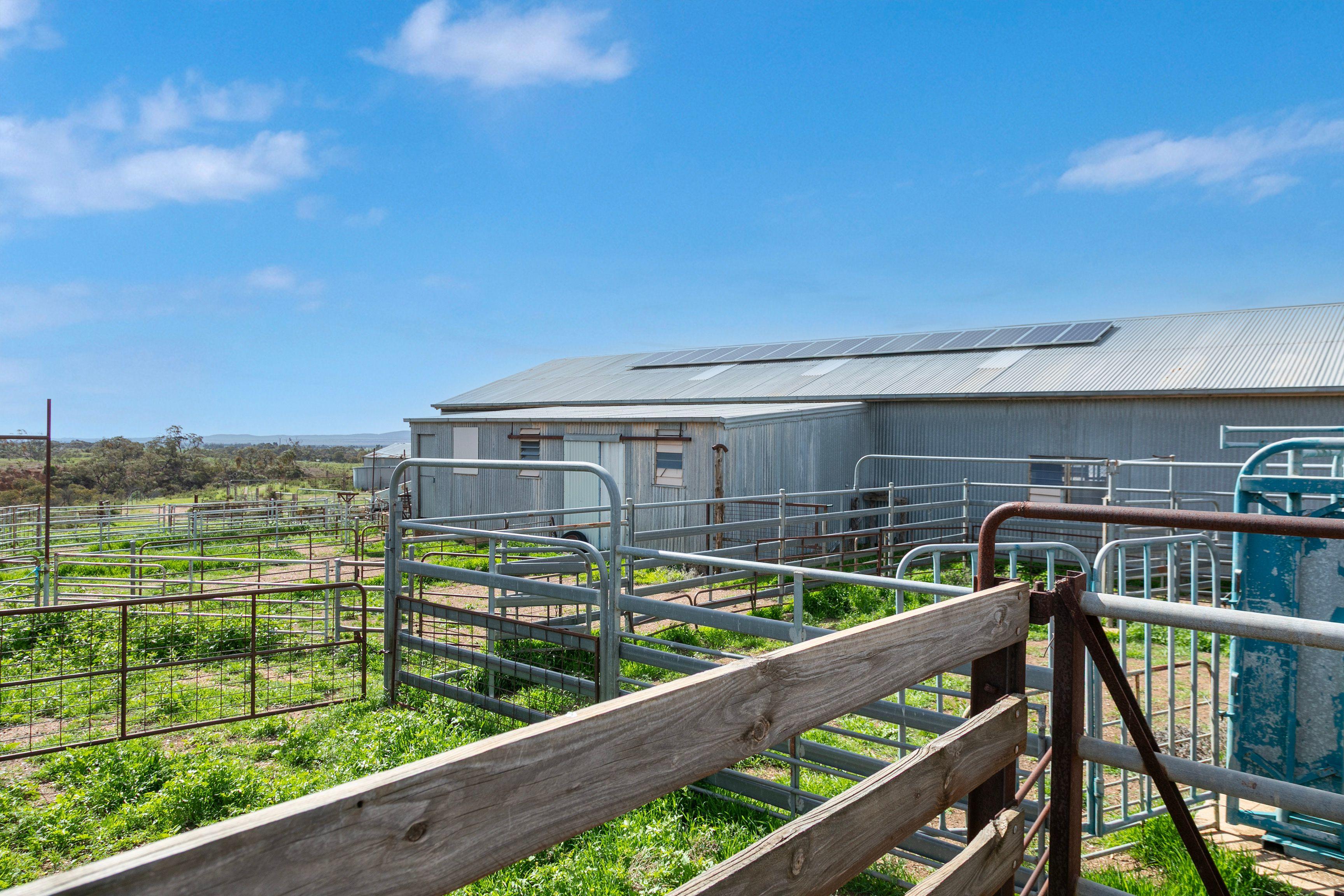 Grazing, Cropping and Country Living with Outlooks to Match