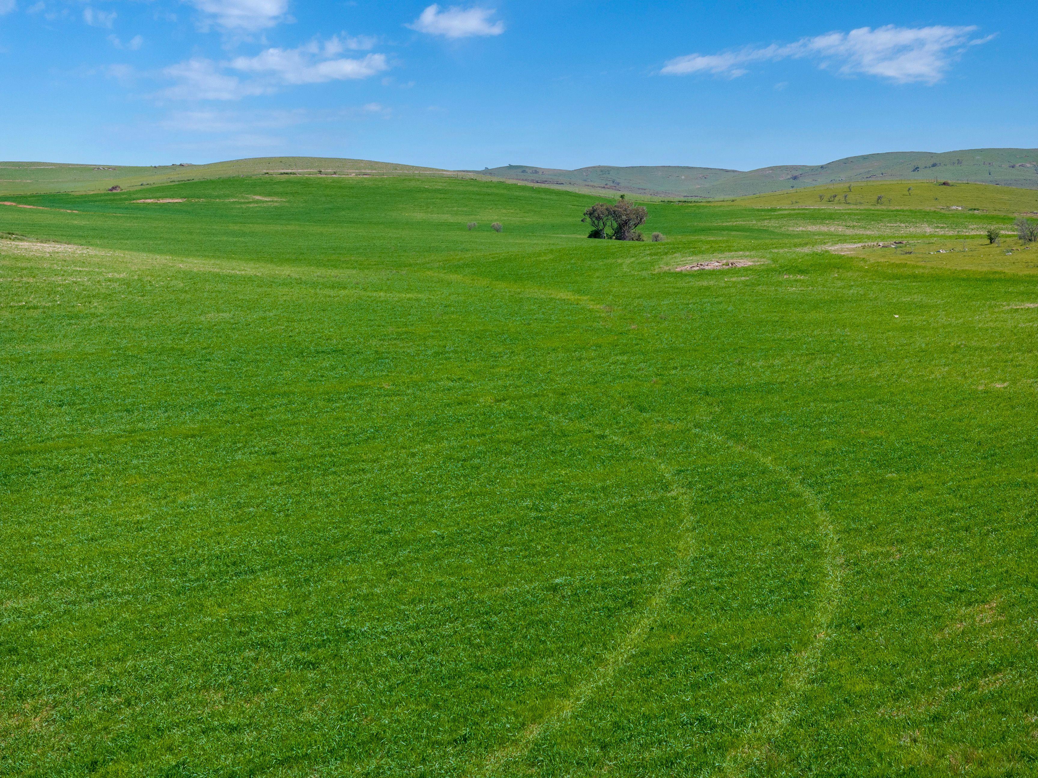 Grazing, Cropping and Country Living with Outlooks to Match