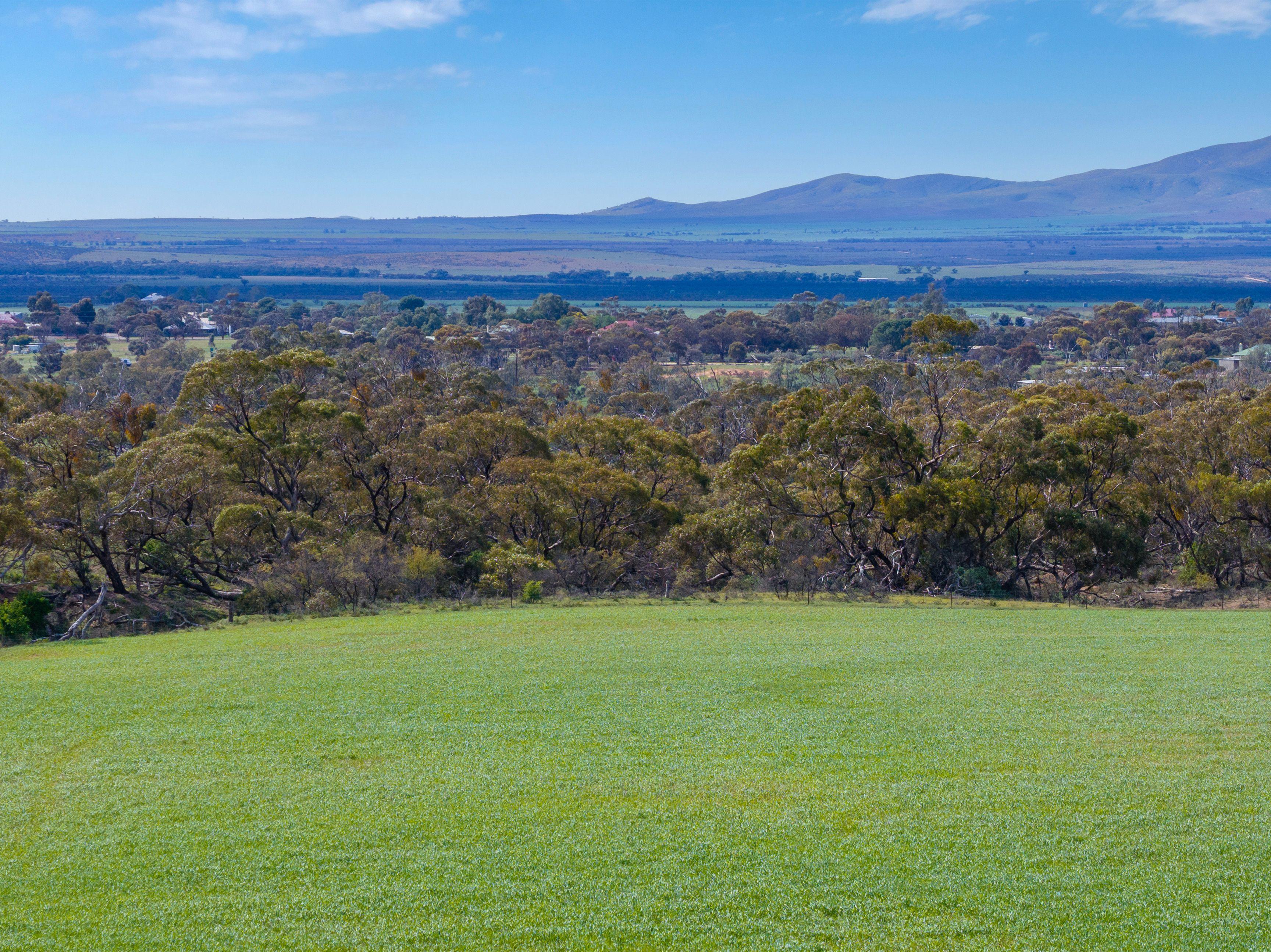 Grazing, Cropping and Country Living with Outlooks to Match