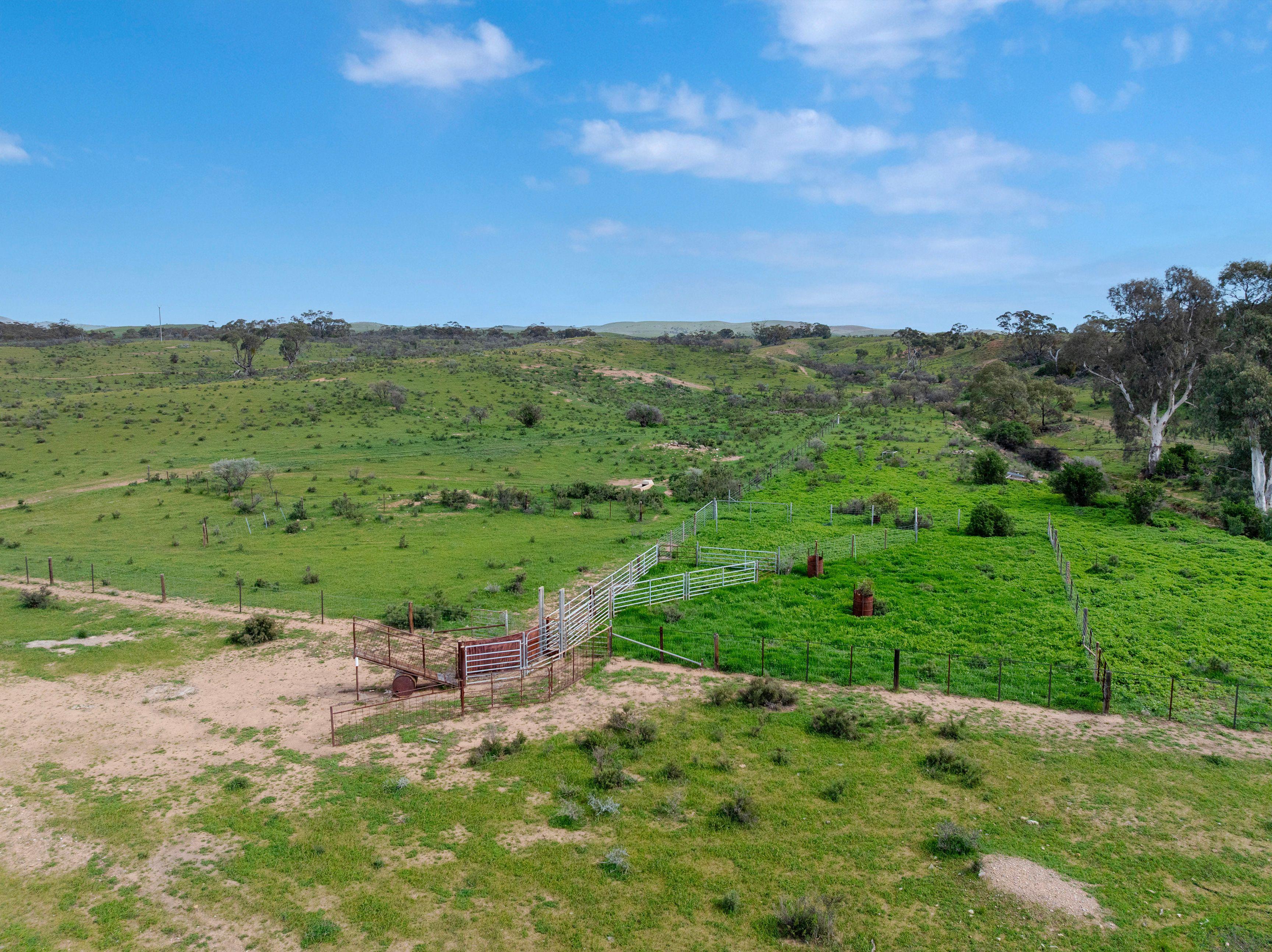 Grazing, Cropping and Country Living with Outlooks to Match