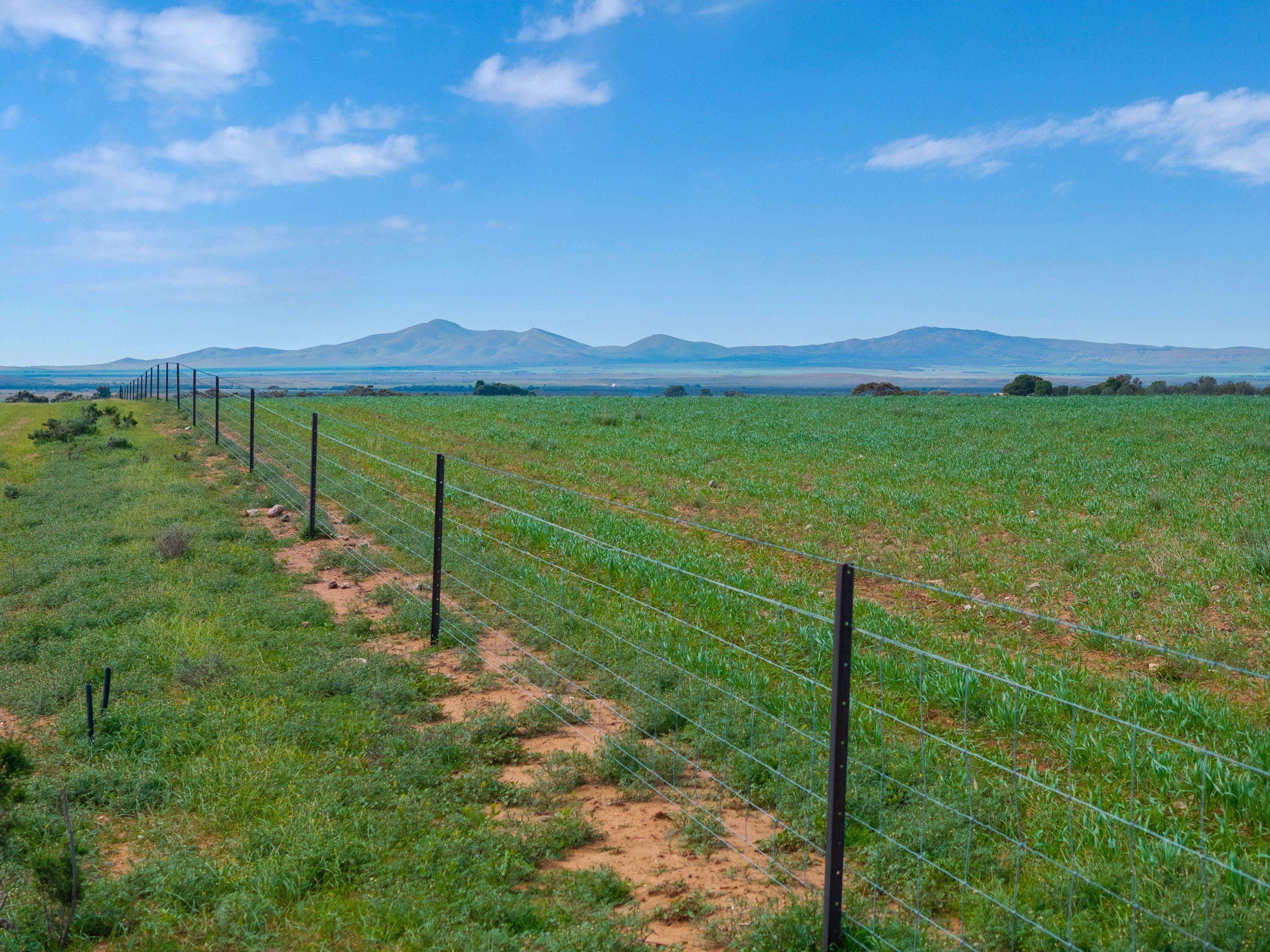Grazing, Cropping and Country Living with Outlooks to Match