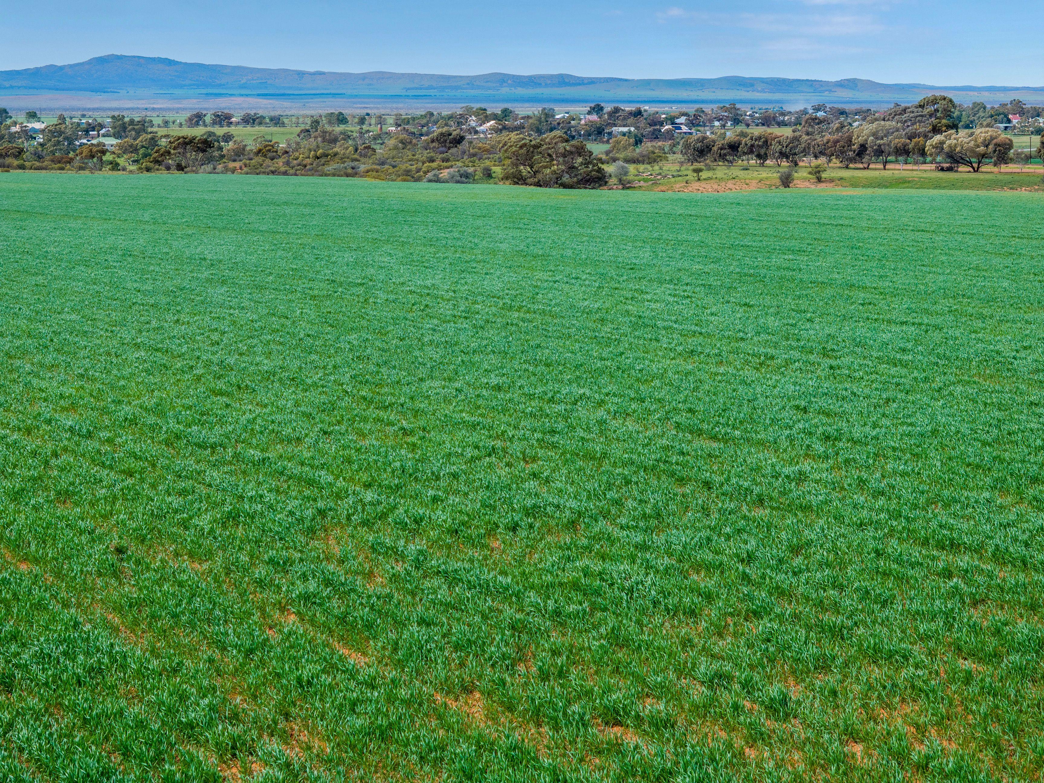Grazing, Cropping and Country Living with Outlooks to Match