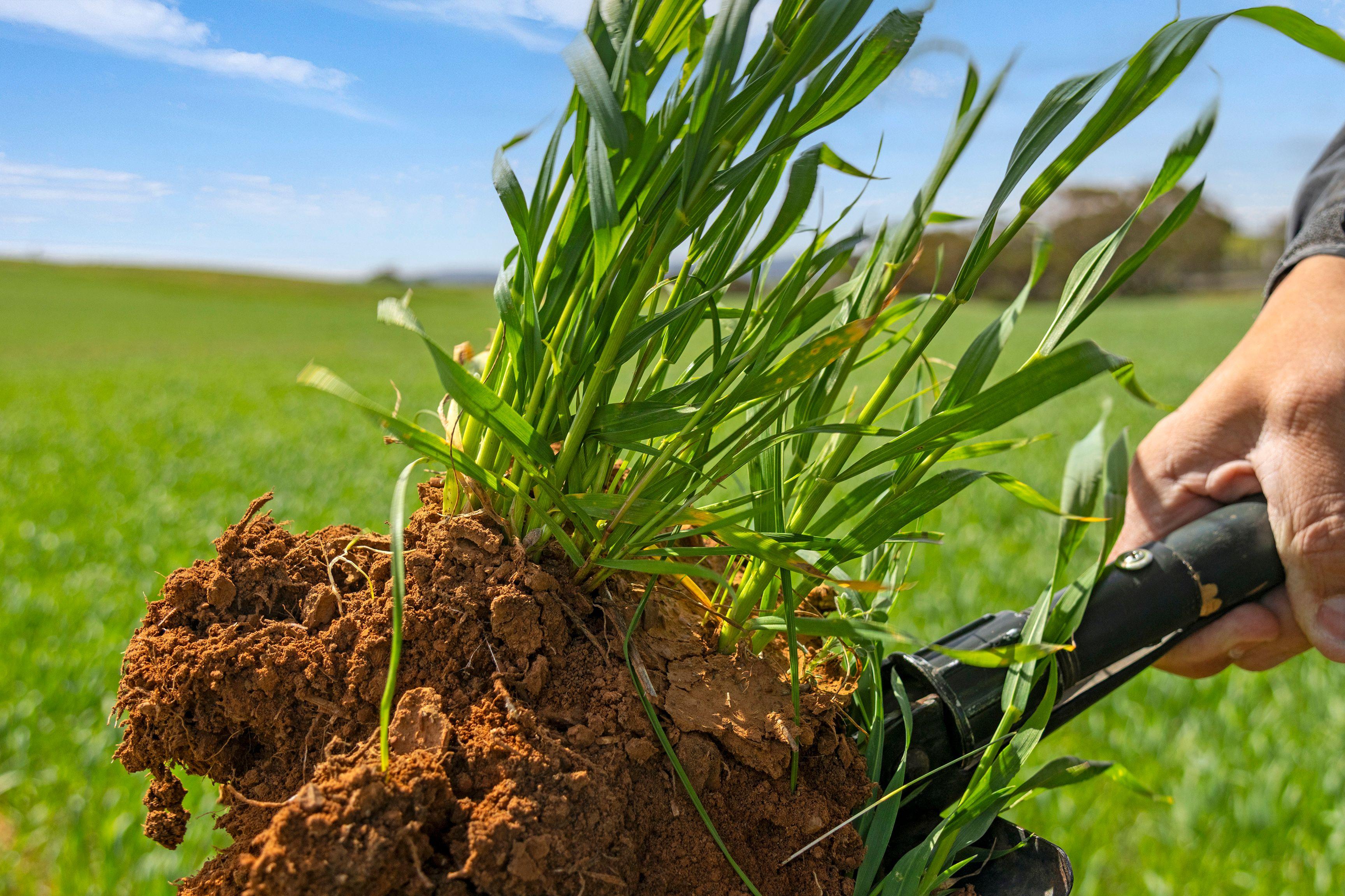 Grazing, Cropping and Country Living with Outlooks to Match