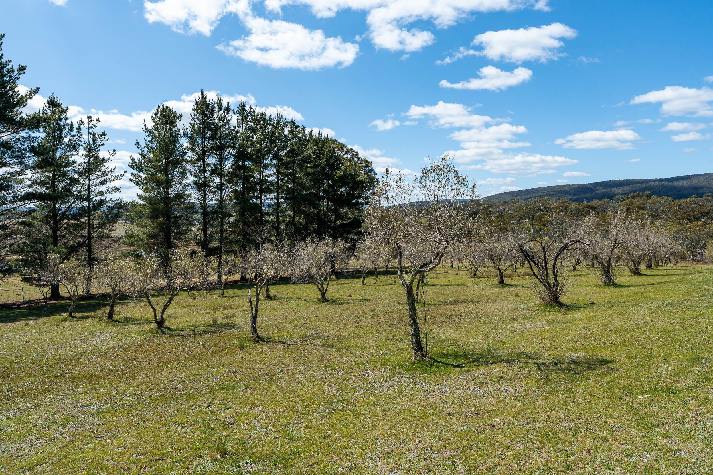 54 Acres of Natural Beauty, Just 15 Minutes from Goulburn's CBD!