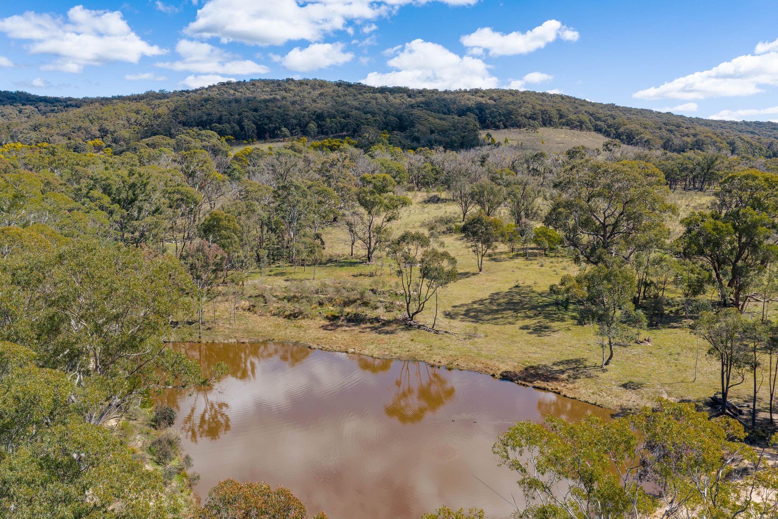 54 Acres of Natural Beauty, Just 15 Minutes from Goulburn's CBD!