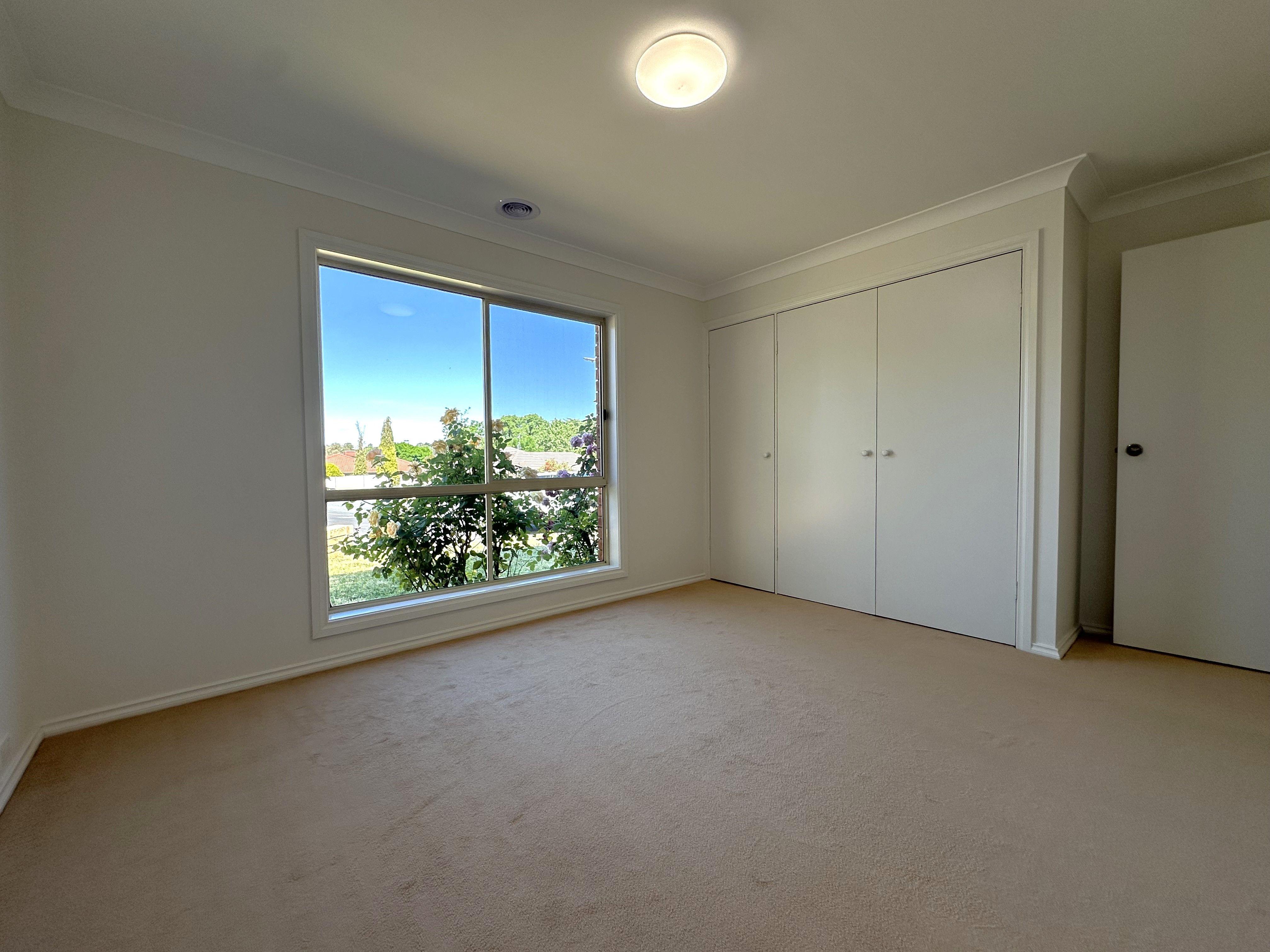 A Real Surprise Package