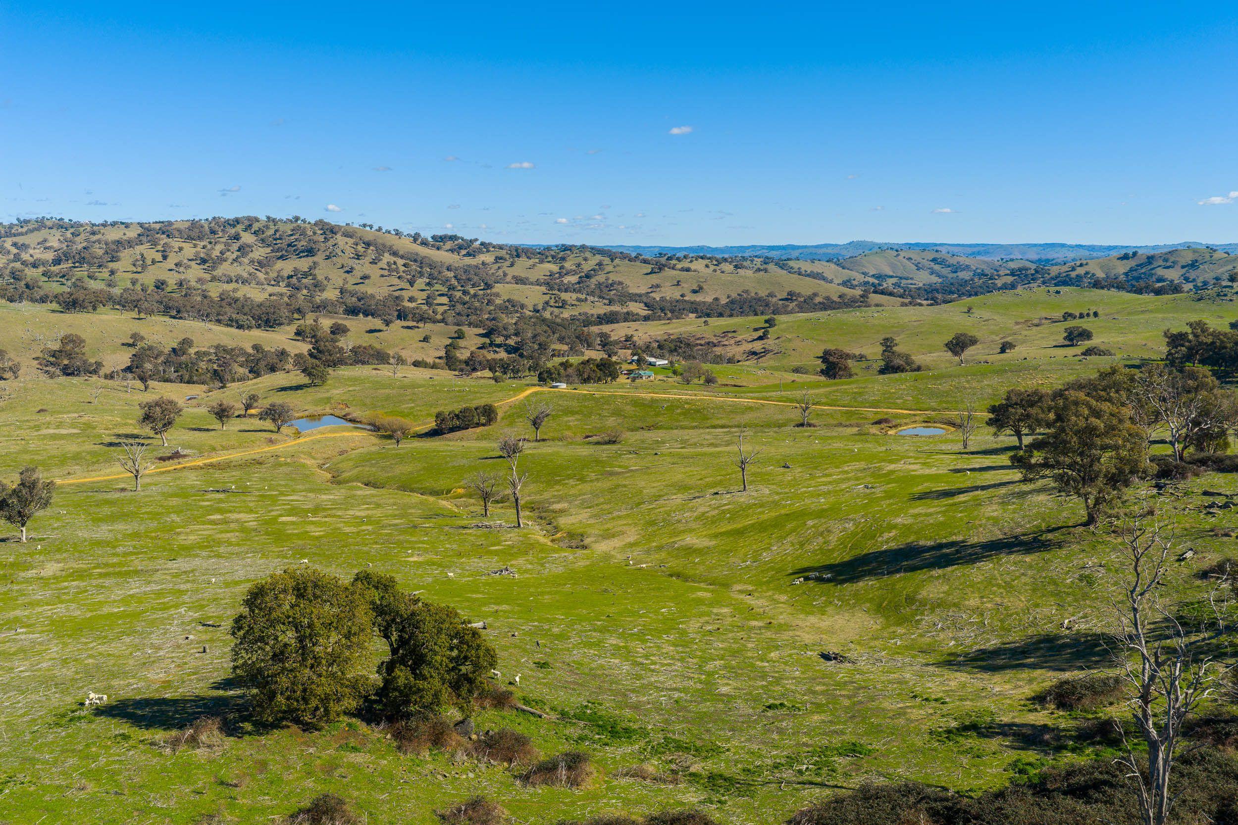 Escape to the Hills