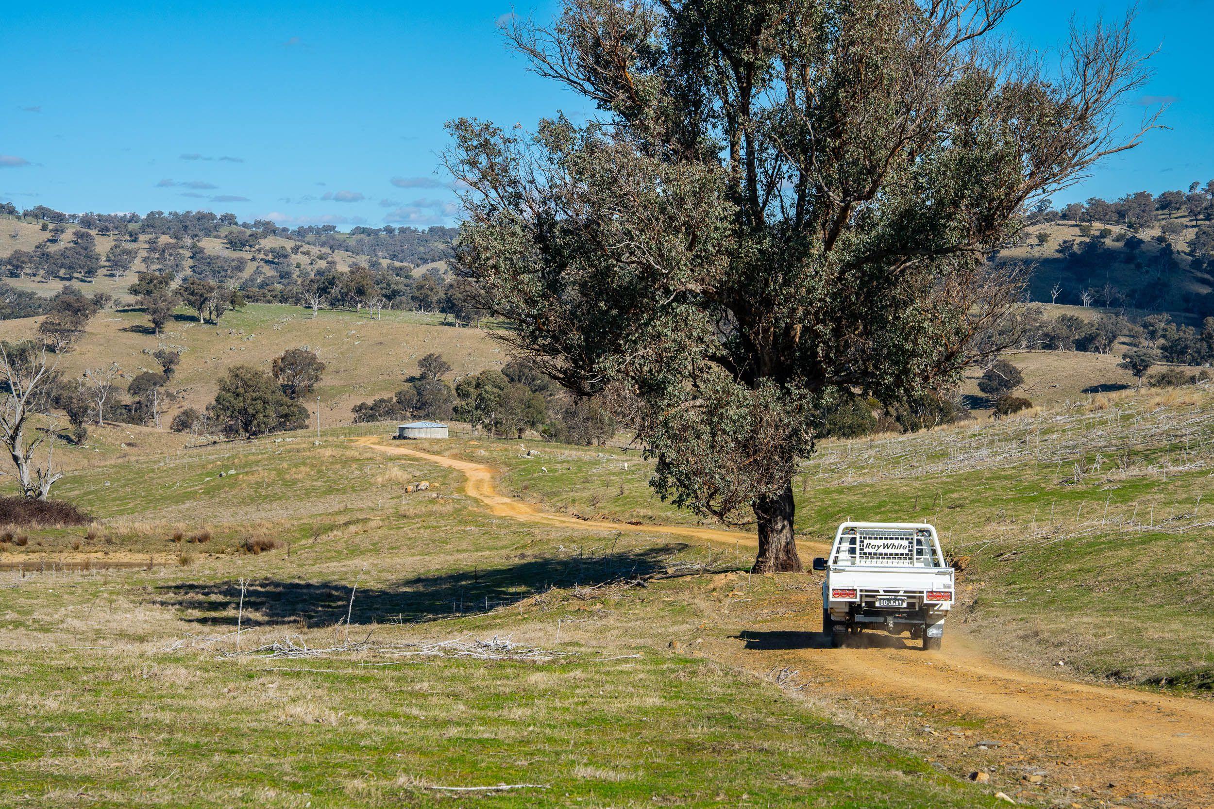 Escape to the Hills