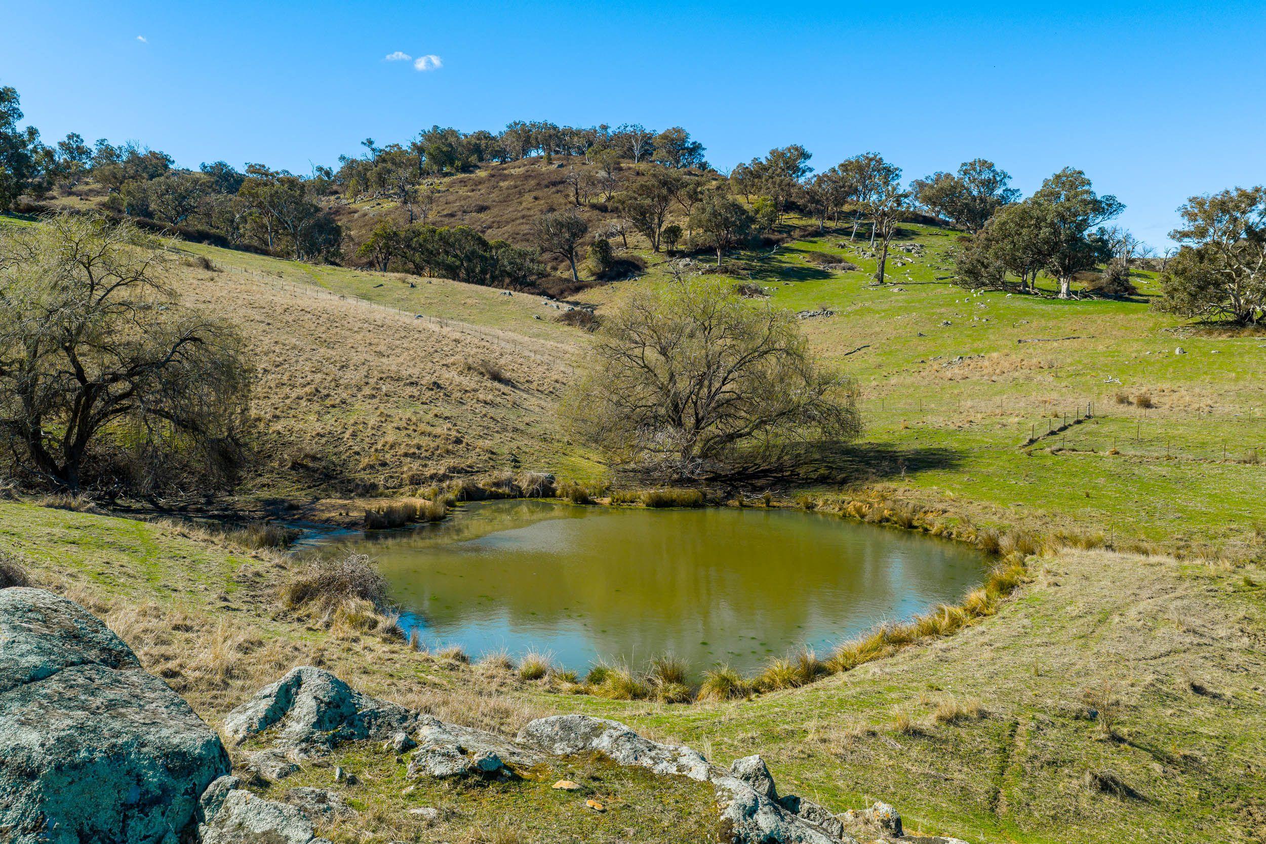 Escape to the Hills