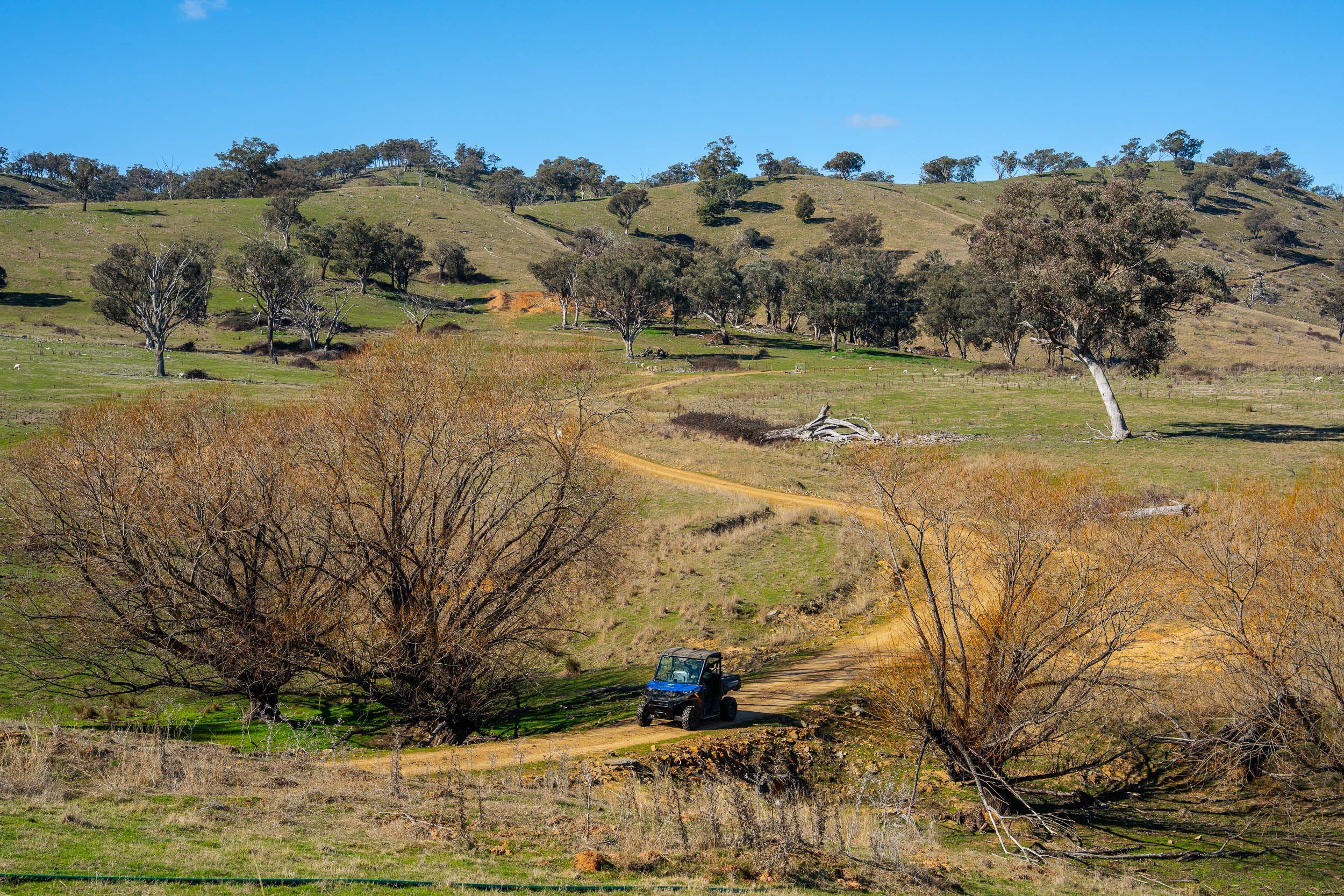 Escape to the Hills