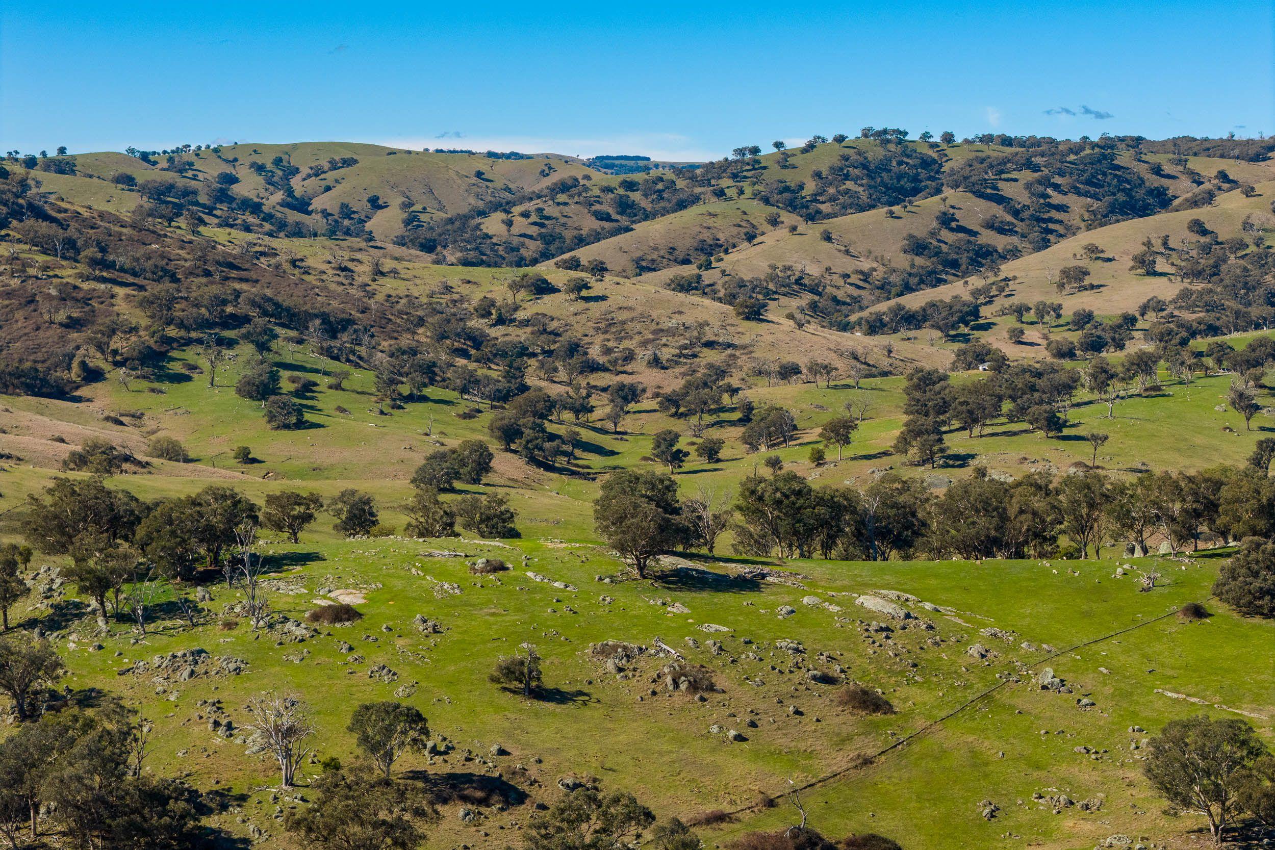 Escape to the Hills