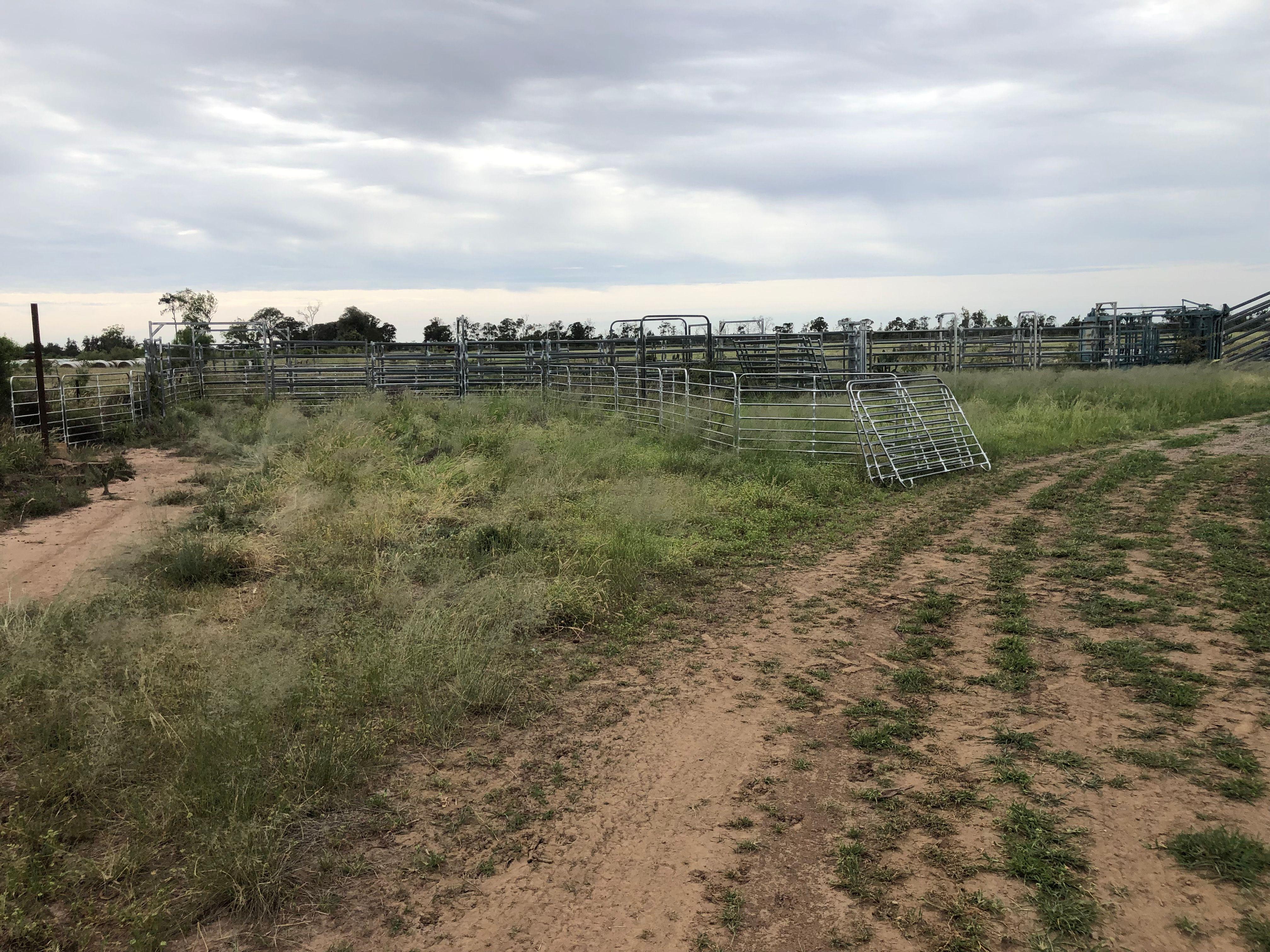 Goondiwindi - Opportunity Awaits
