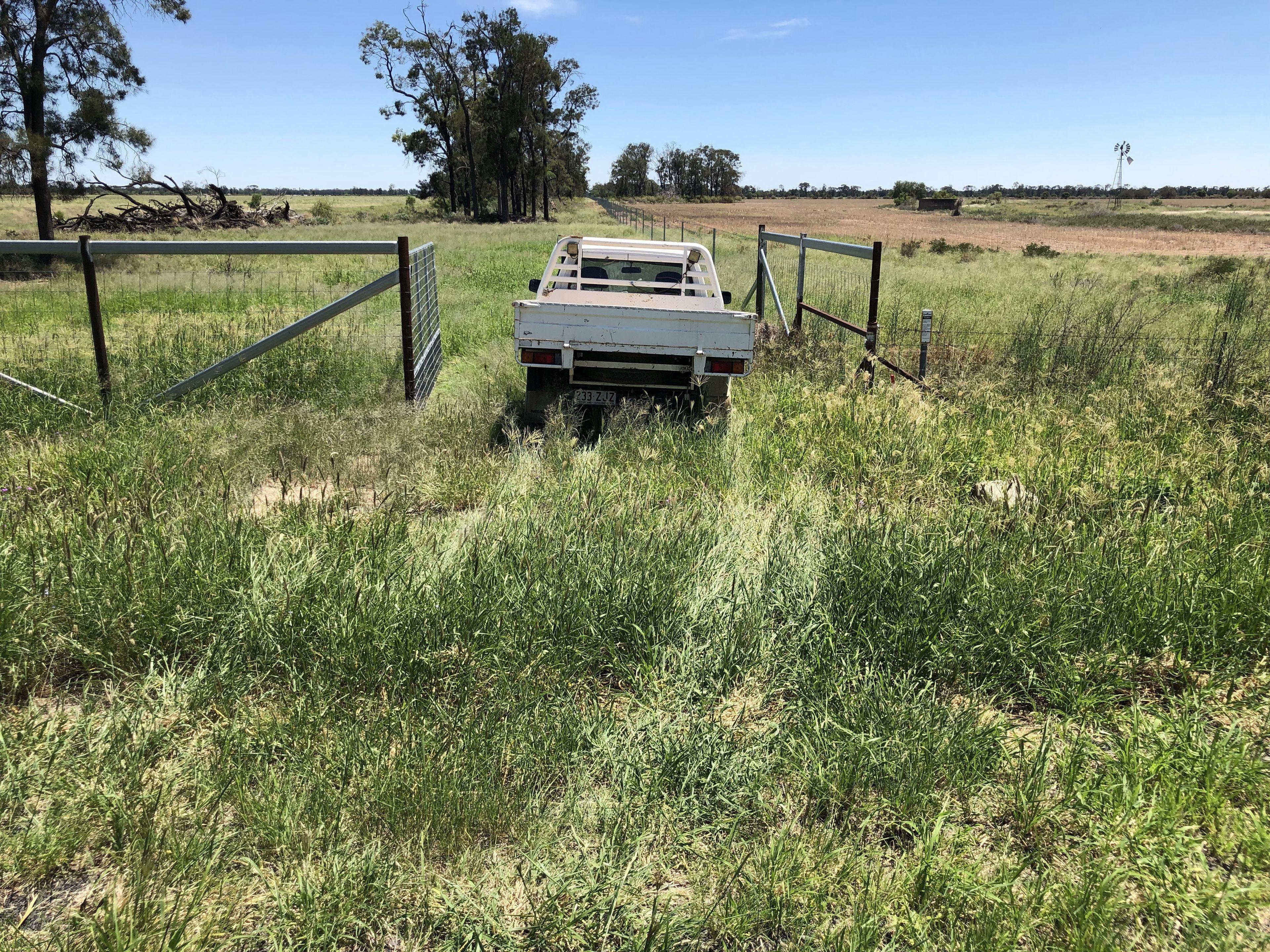 Goondiwindi - Opportunity Awaits