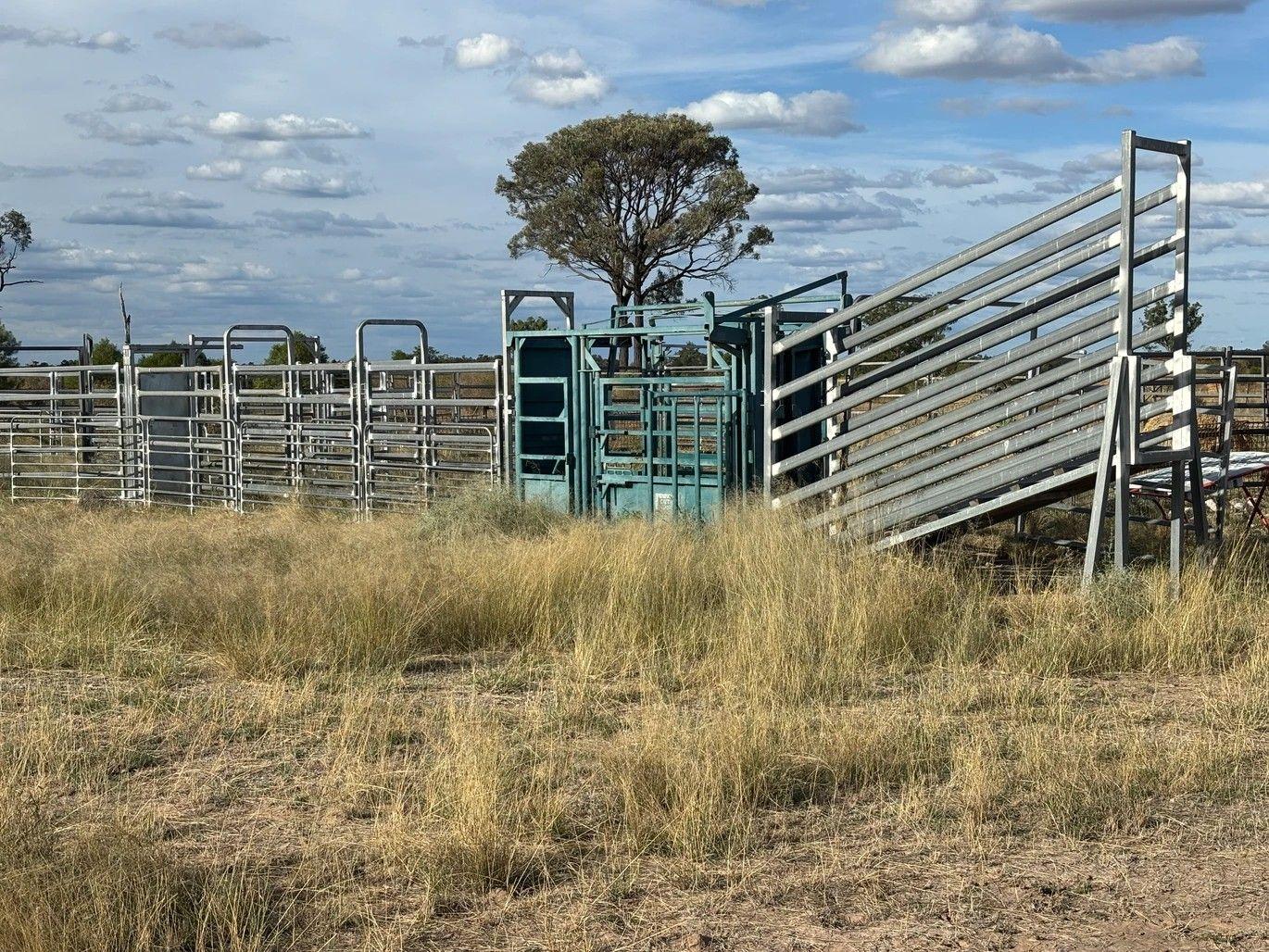 Goondiwindi - Opportunity Awaits