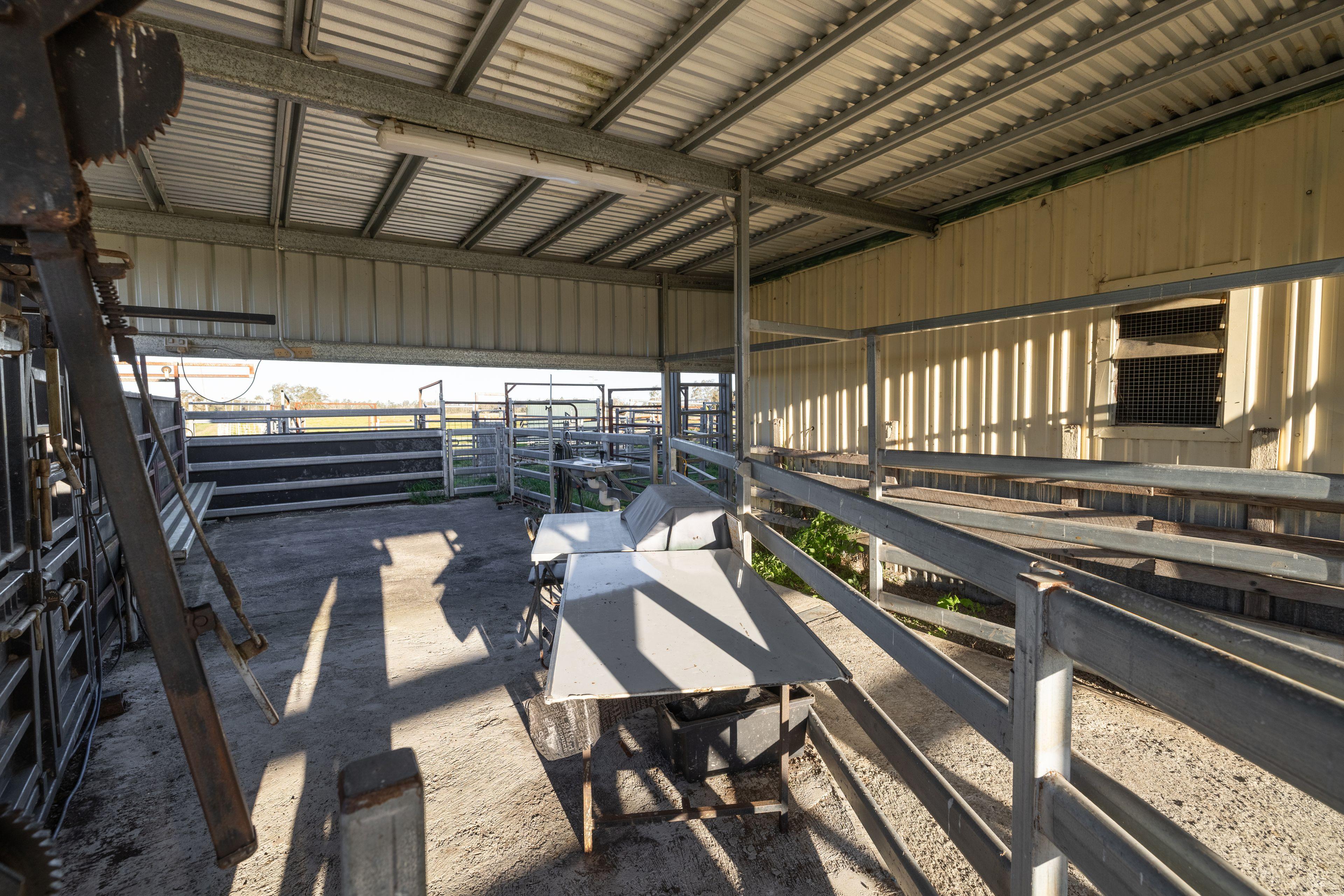 Productive Acres on the Edge of Town!