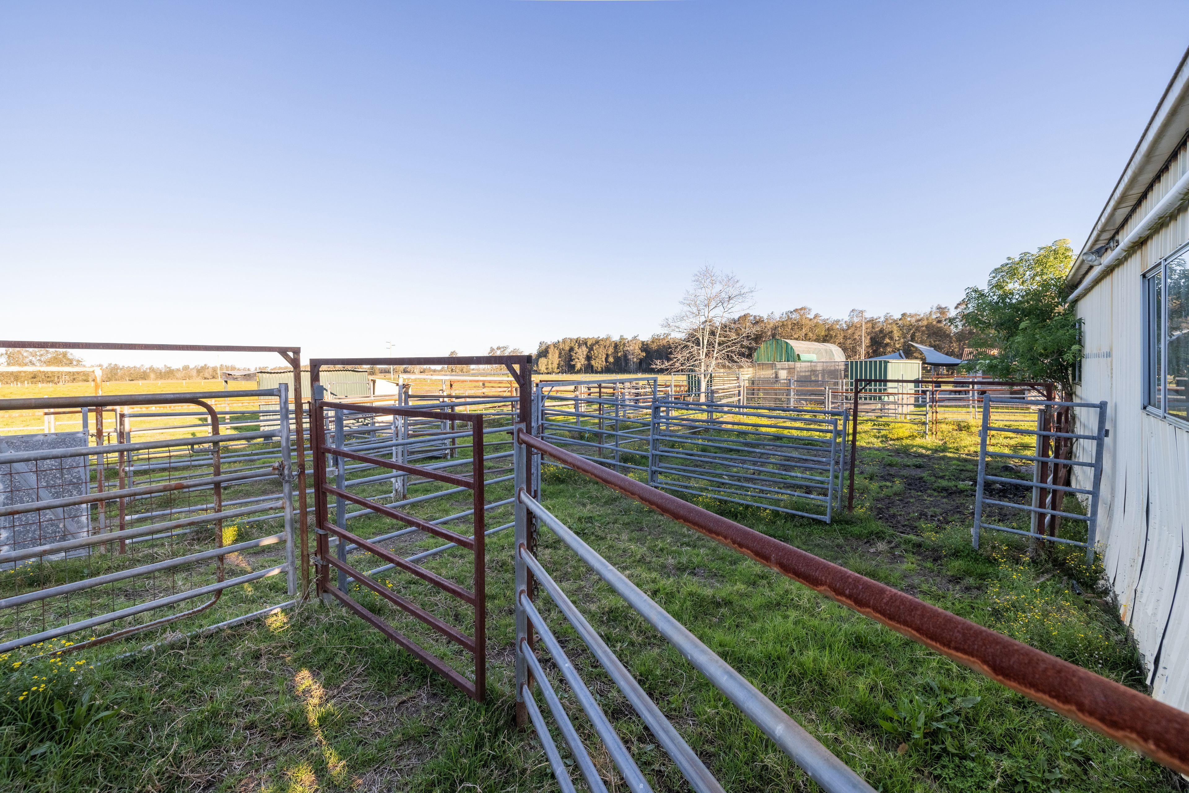 Productive Acres on the Edge of Town!