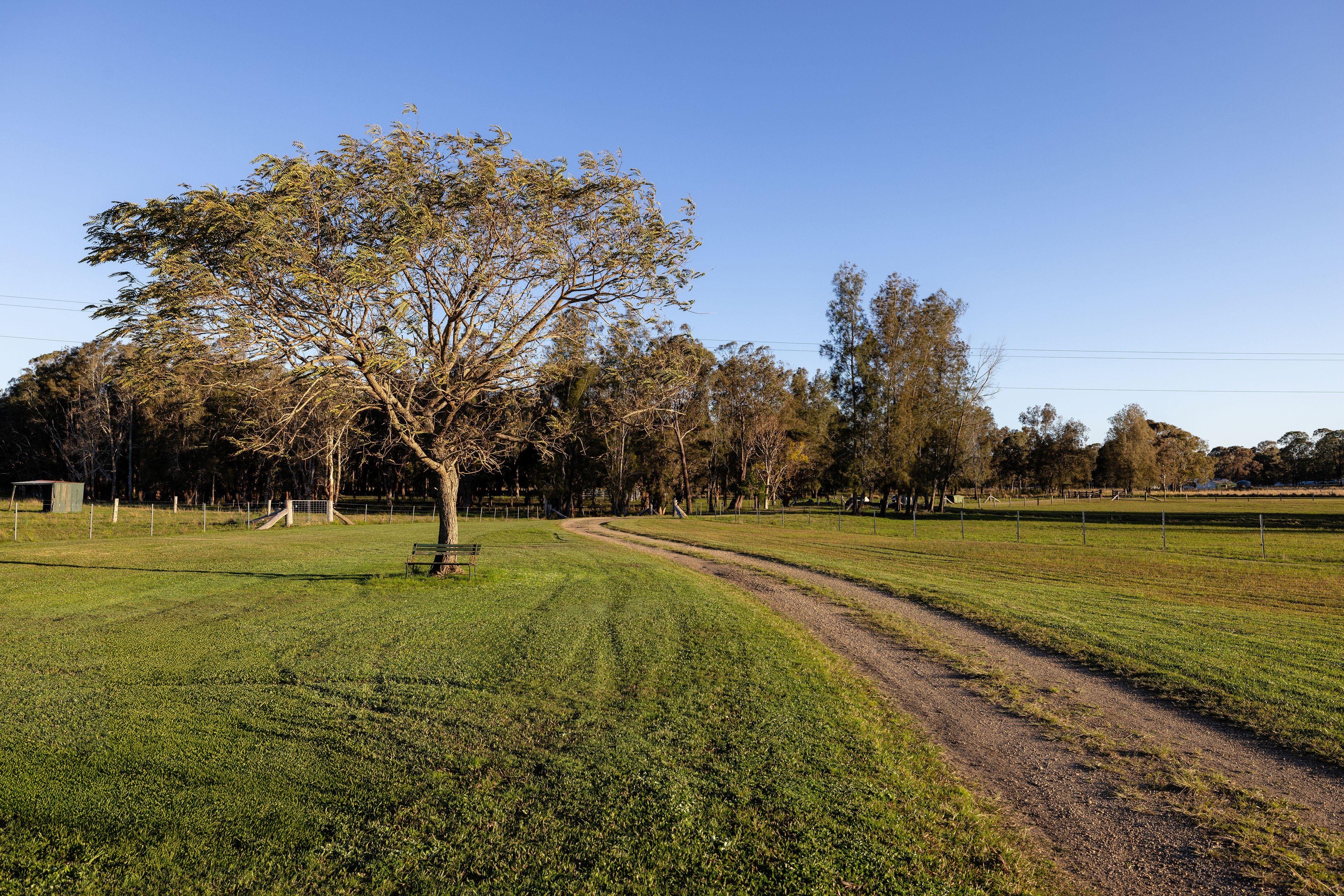 Productive Acres on the Edge of Town!
