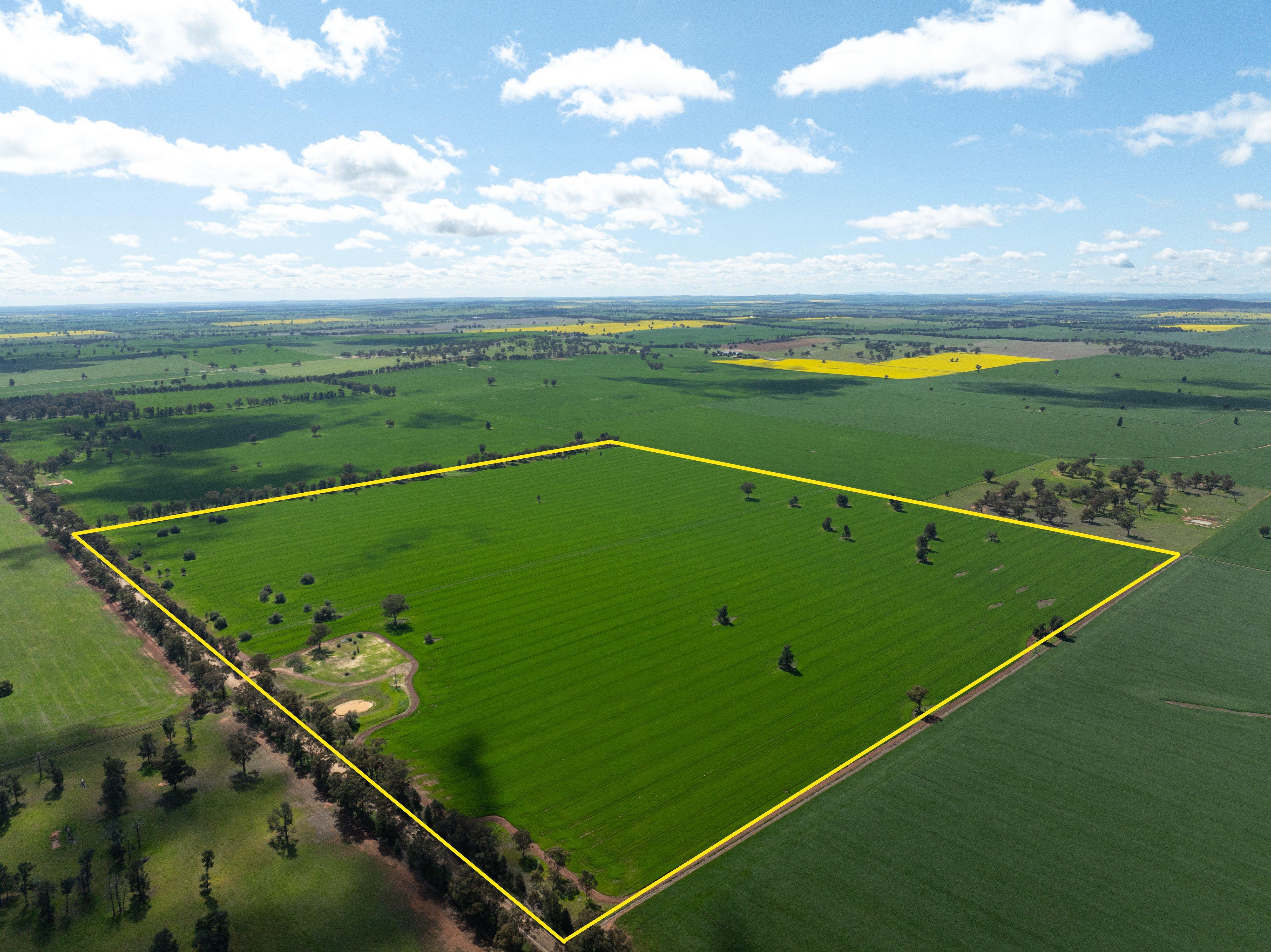 Prop-GPT: Lifestyle: NSW Currawarna, NSW 2650 Rural