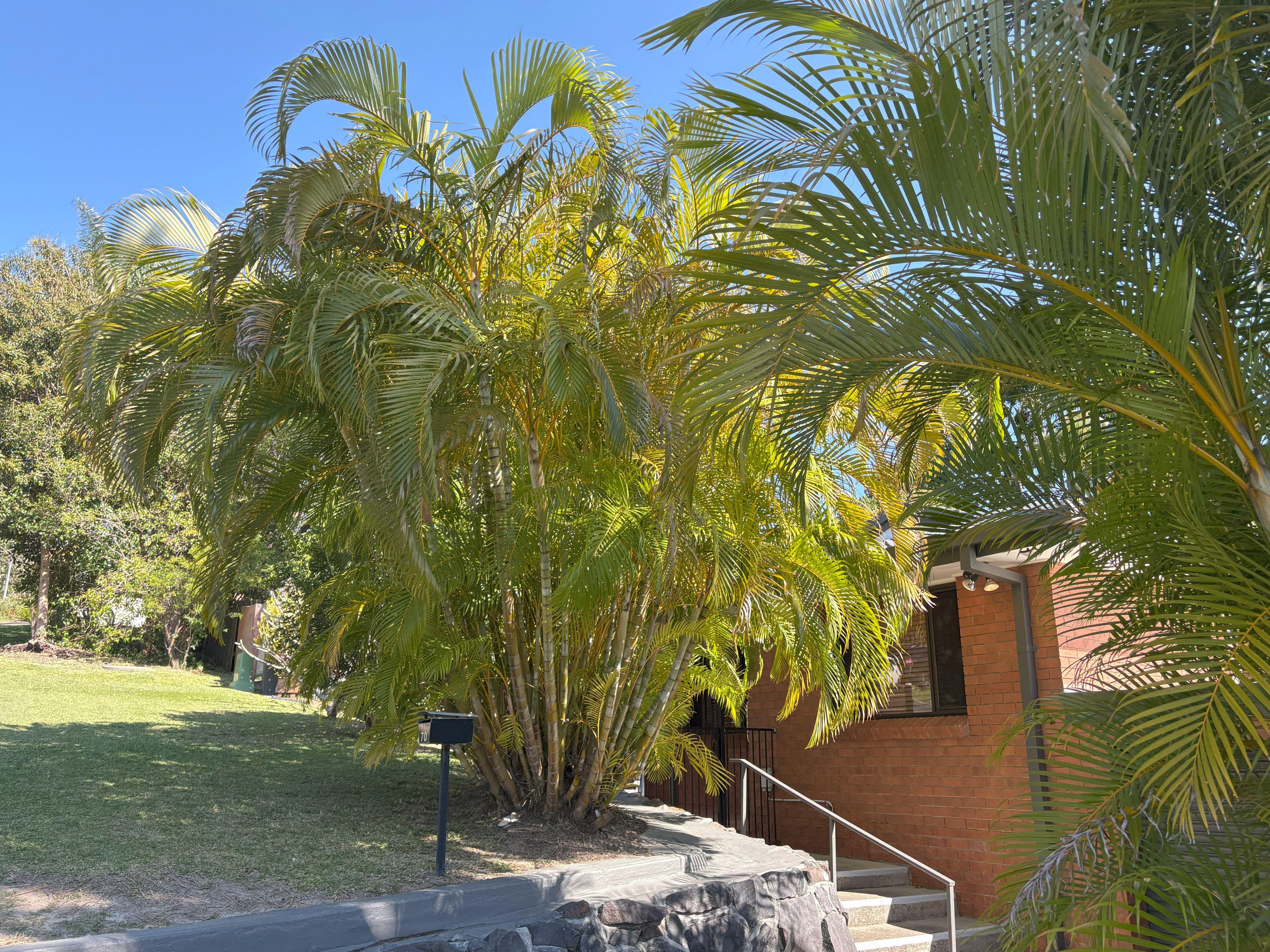Perfectly located Three bedroom home