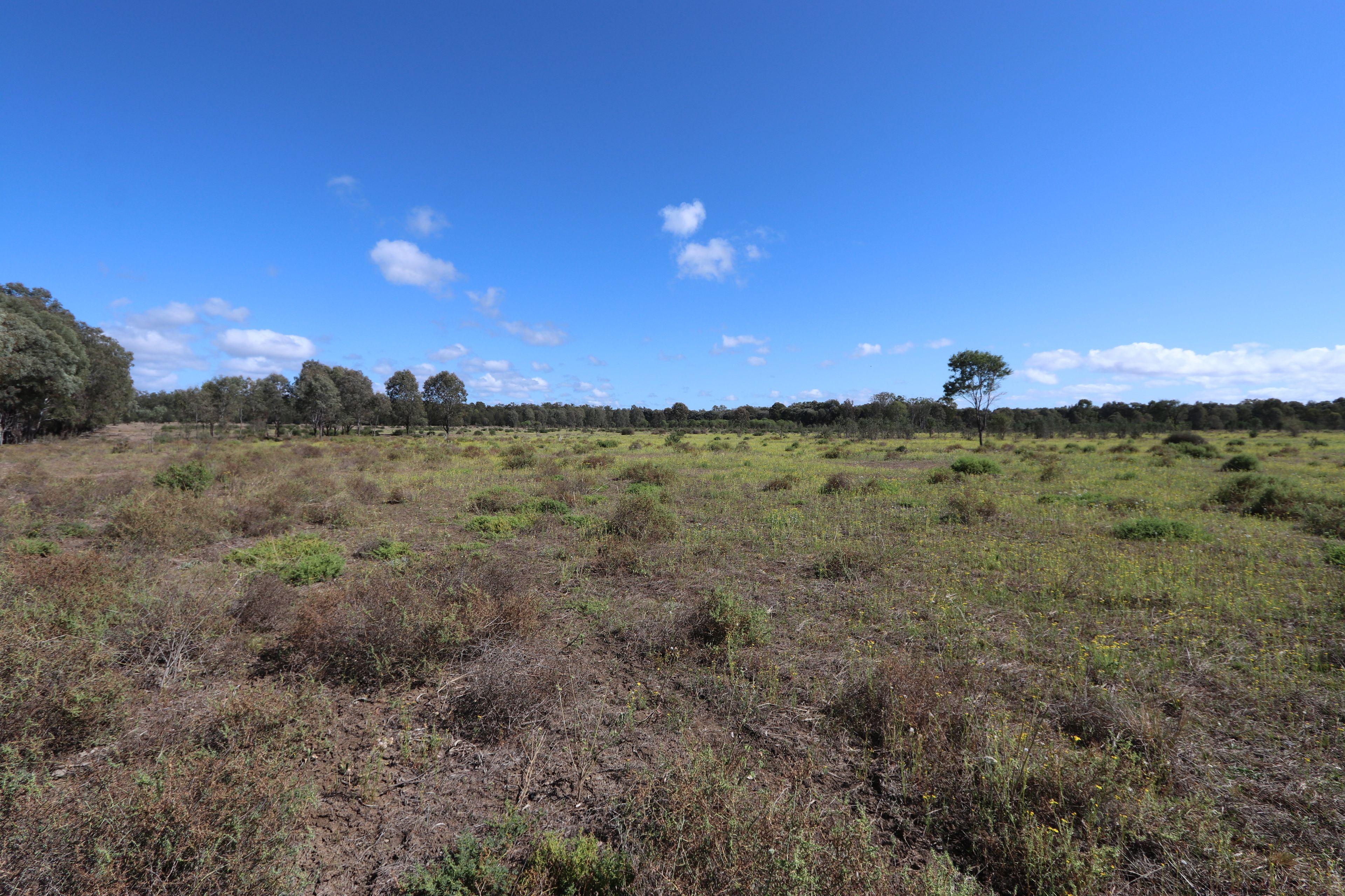 129 acre Starter Block on the outskirts of Duaringa