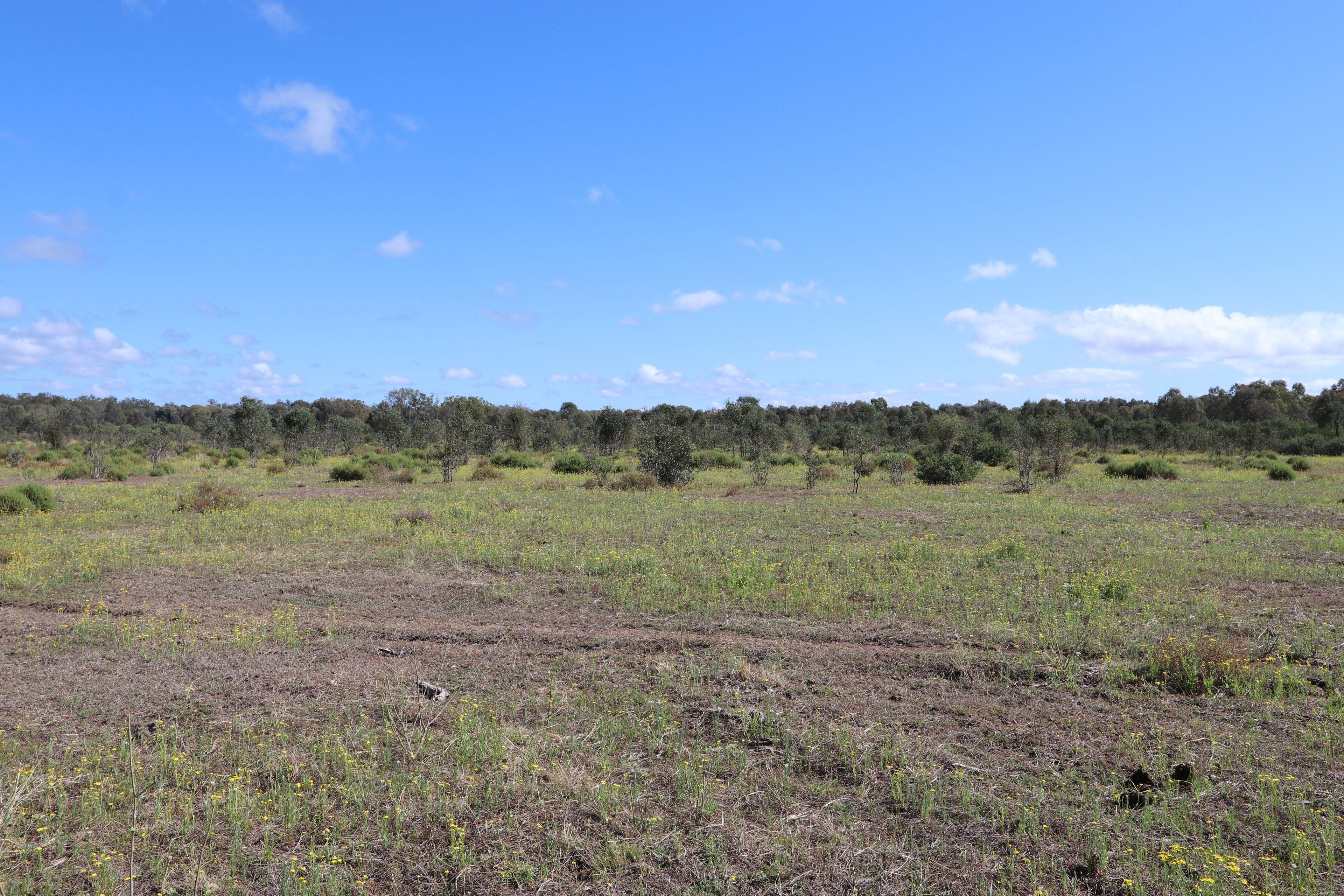 129 acre Starter Block on the outskirts of Duaringa