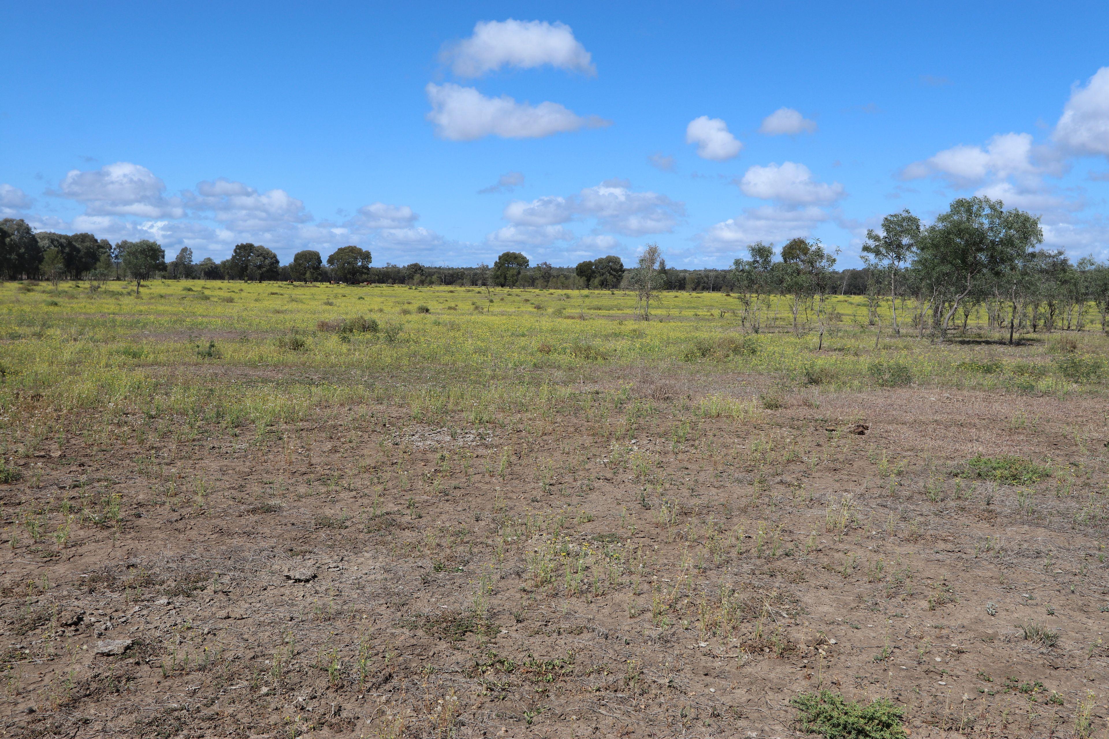 129 acre Starter Block on the outskirts of Duaringa