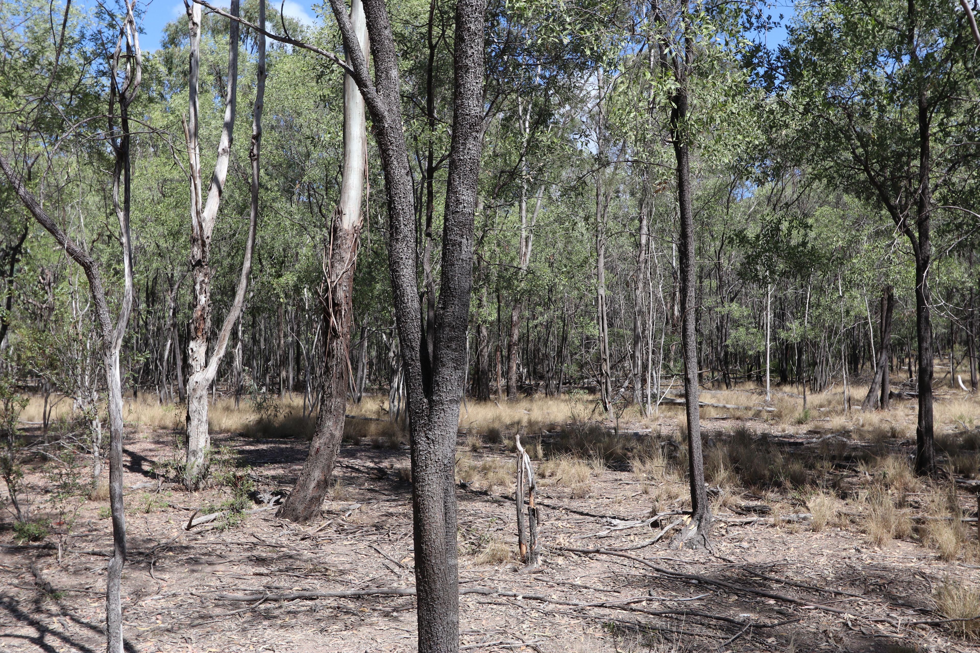 129 acre Starter Block on the outskirts of Duaringa