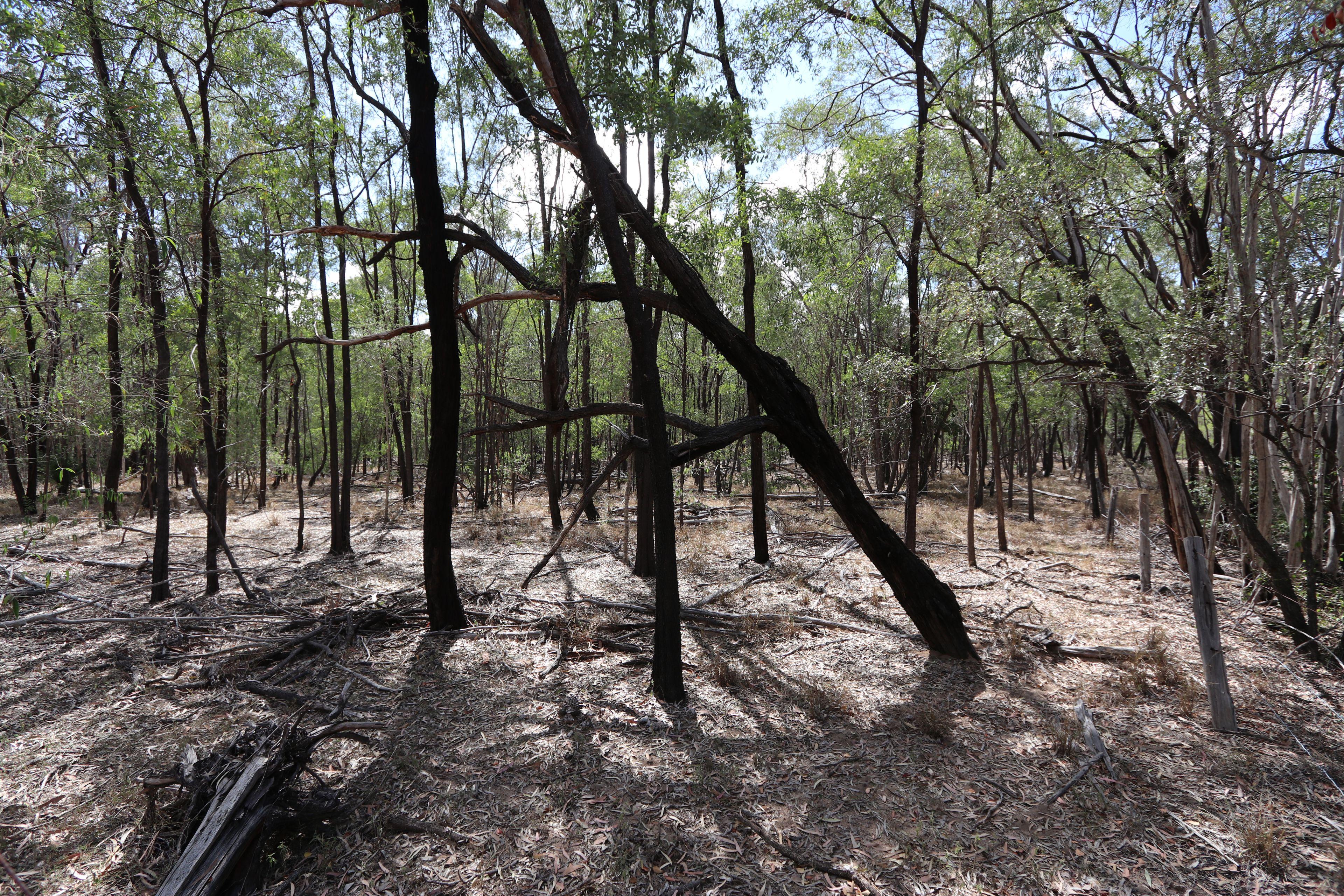129 acre Starter Block on the outskirts of Duaringa