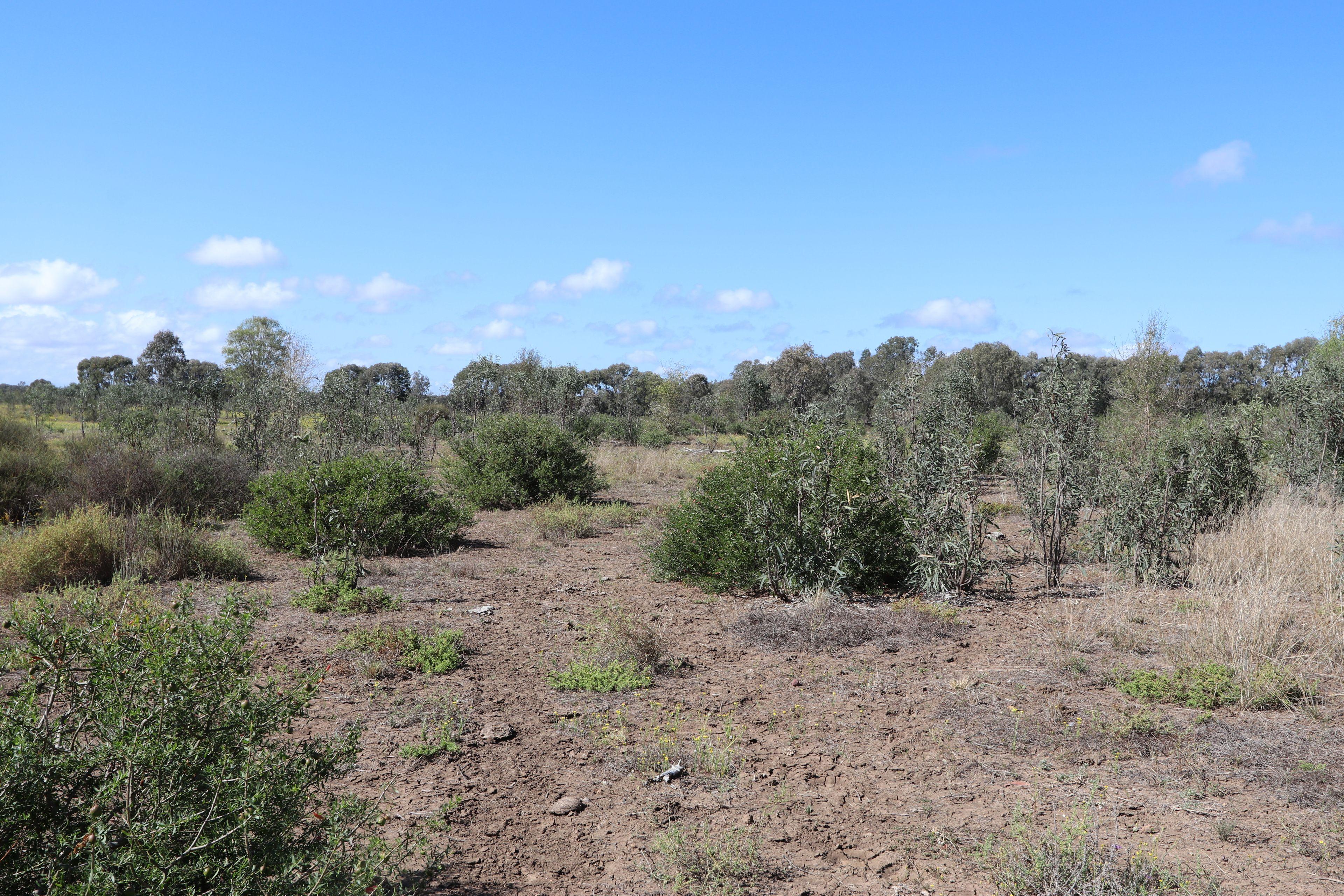 129 acre Starter Block on the outskirts of Duaringa