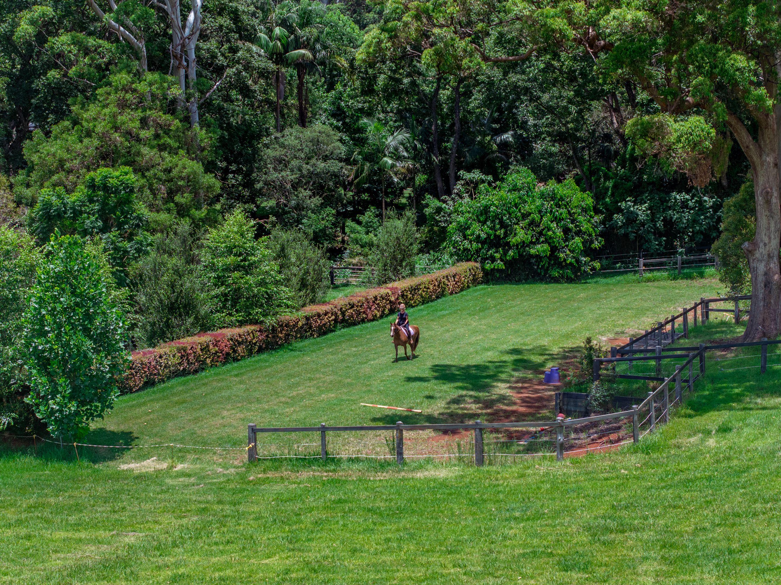 Westwood Farm - Transcend the ordinary and live well!