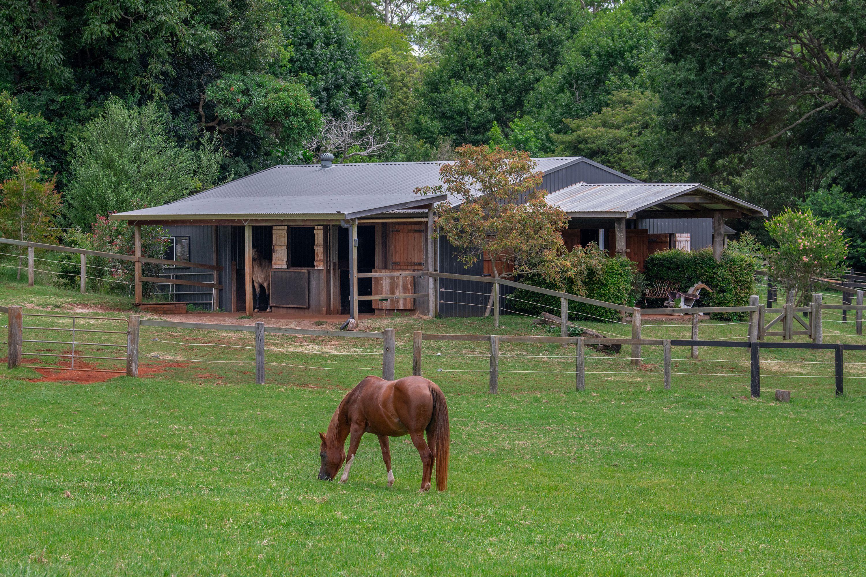 Westwood Farm - Transcend the ordinary and live well!