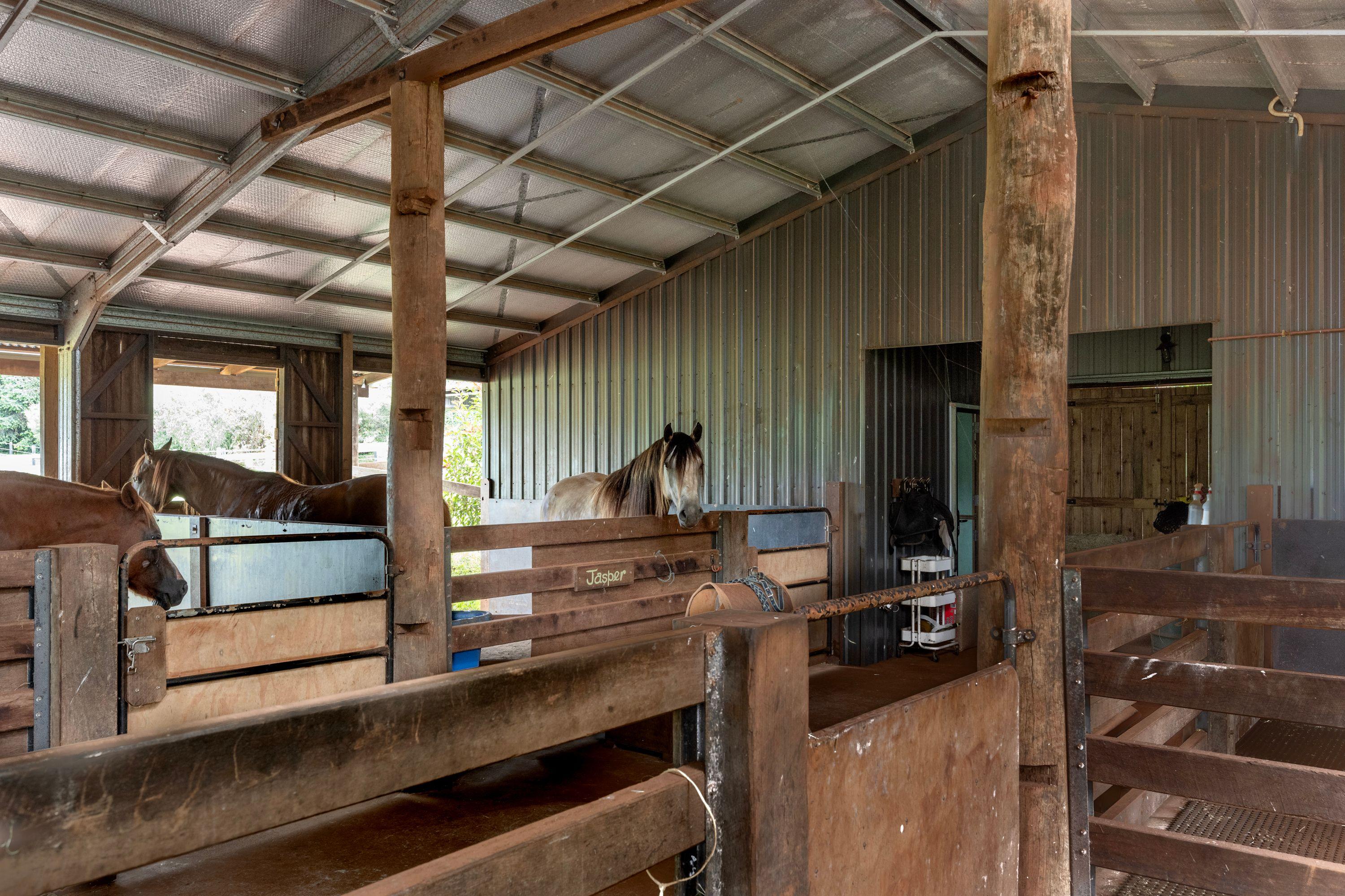 Westwood Farm - Transcend the ordinary and live well!