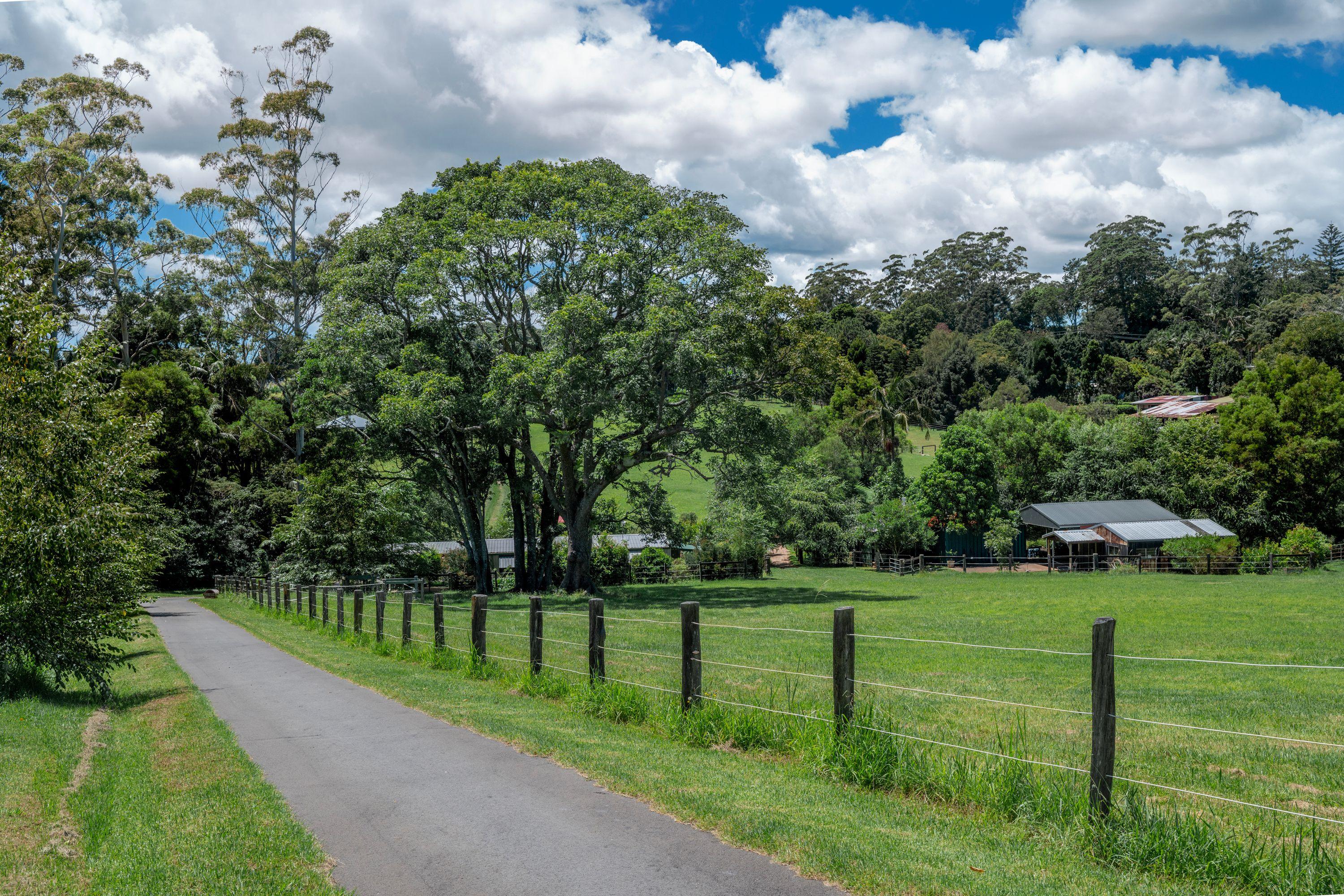 Westwood Farm - Transcend the ordinary and live well!