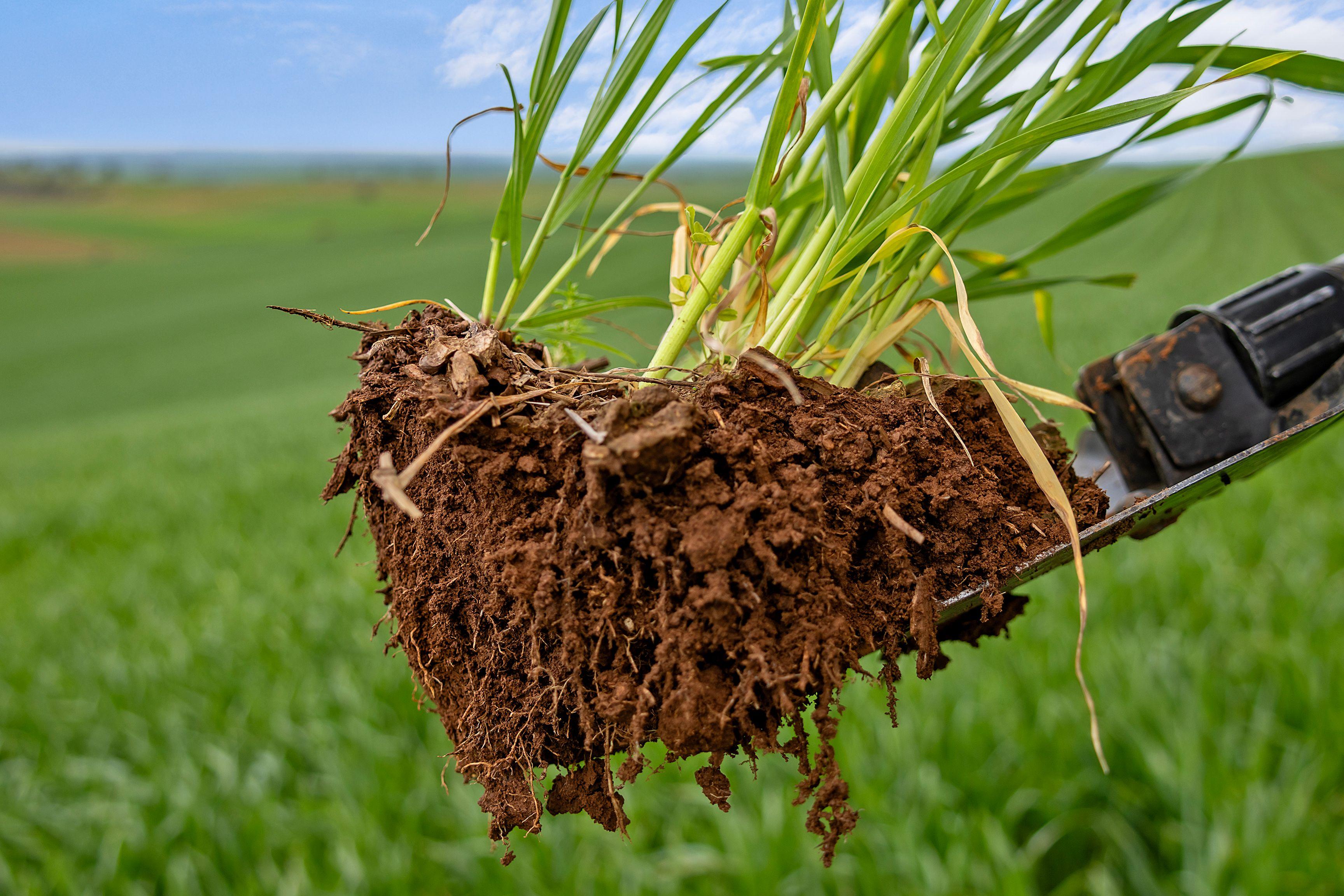 Mixed Farming & Grazing Holding in Reliable Region Mixed Farming | SA Wirrabara, SA 5481 | Prop-GPT the AI-Powered Property Portal