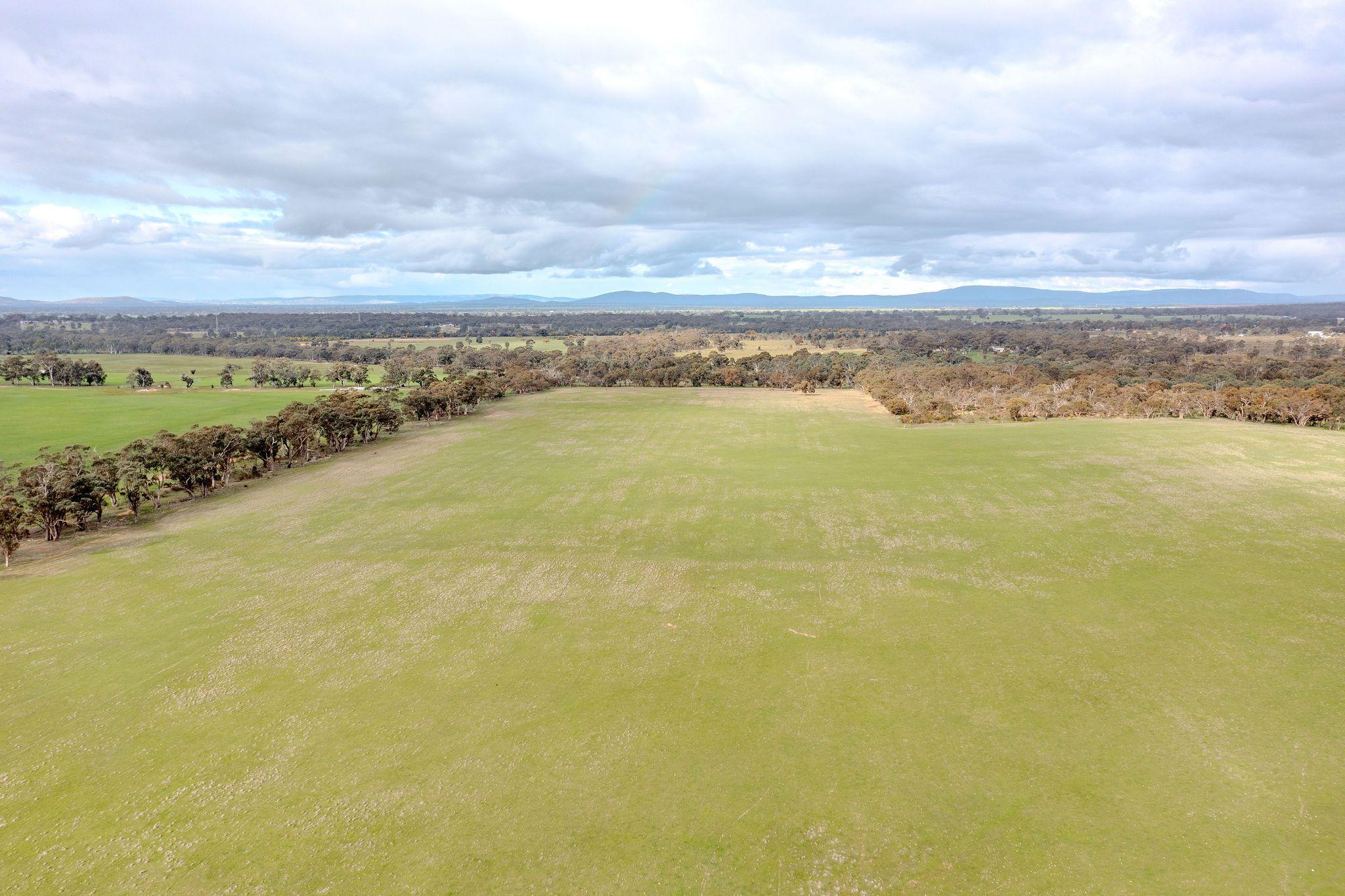 Grazing Opportunity Cropping Close to Stawell